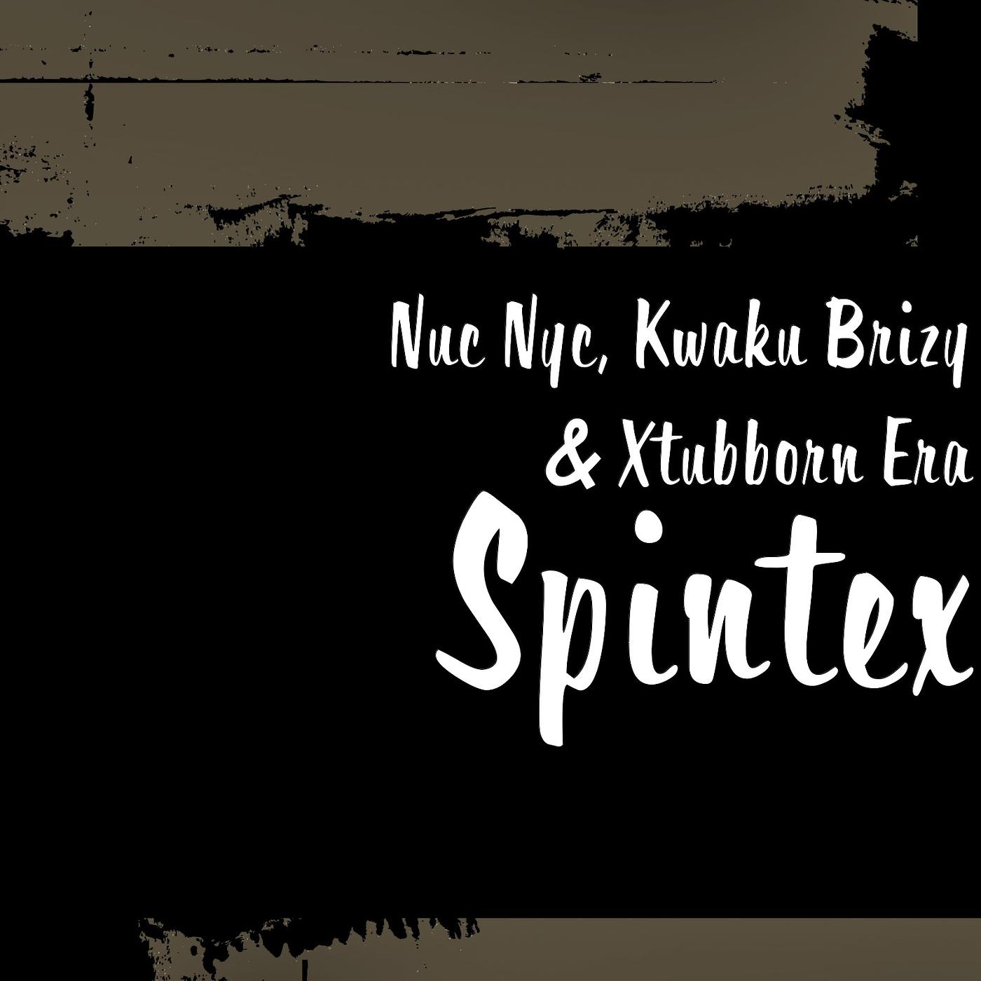 Постер альбома Spintex