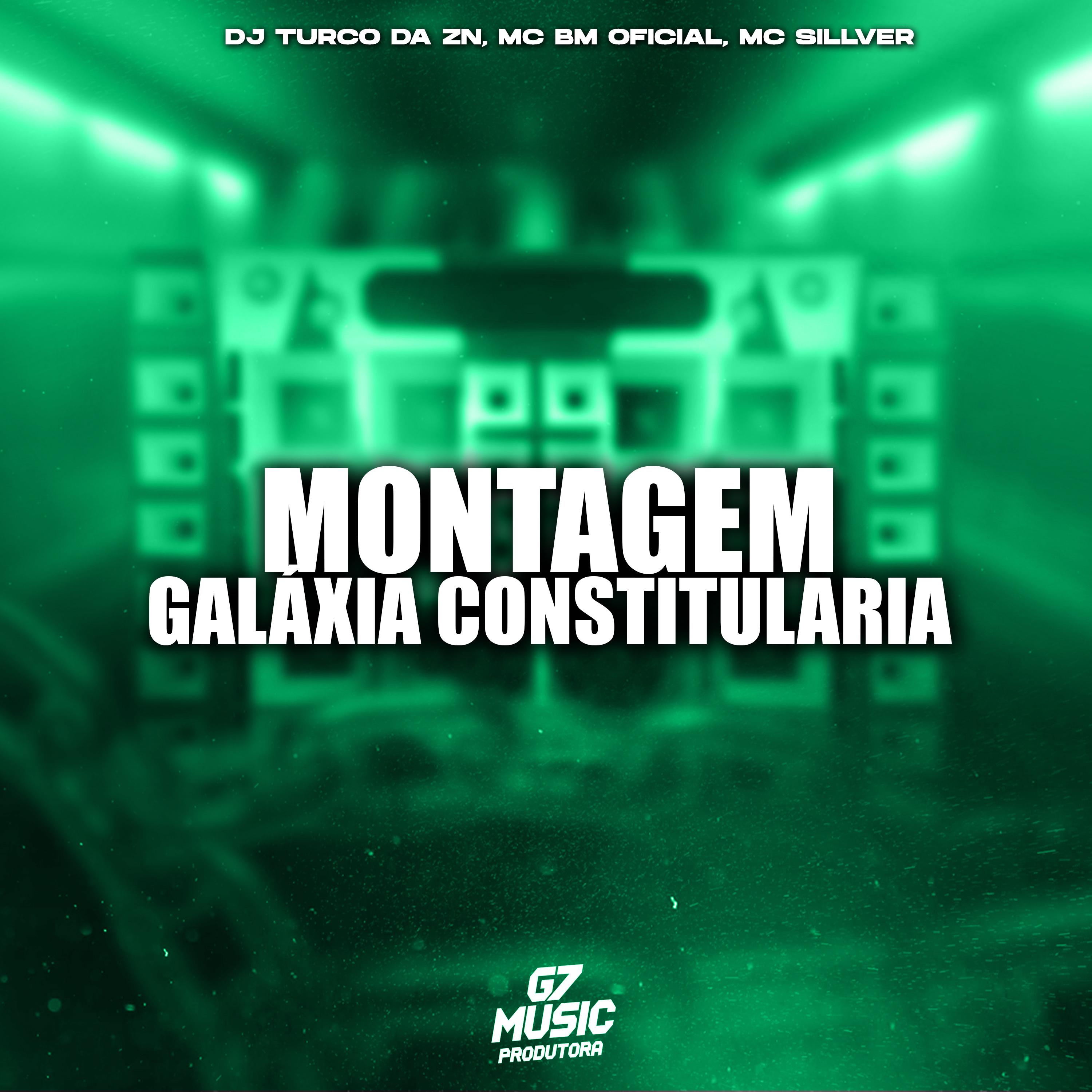 Постер альбома Montagem Galáxia Constirularia
