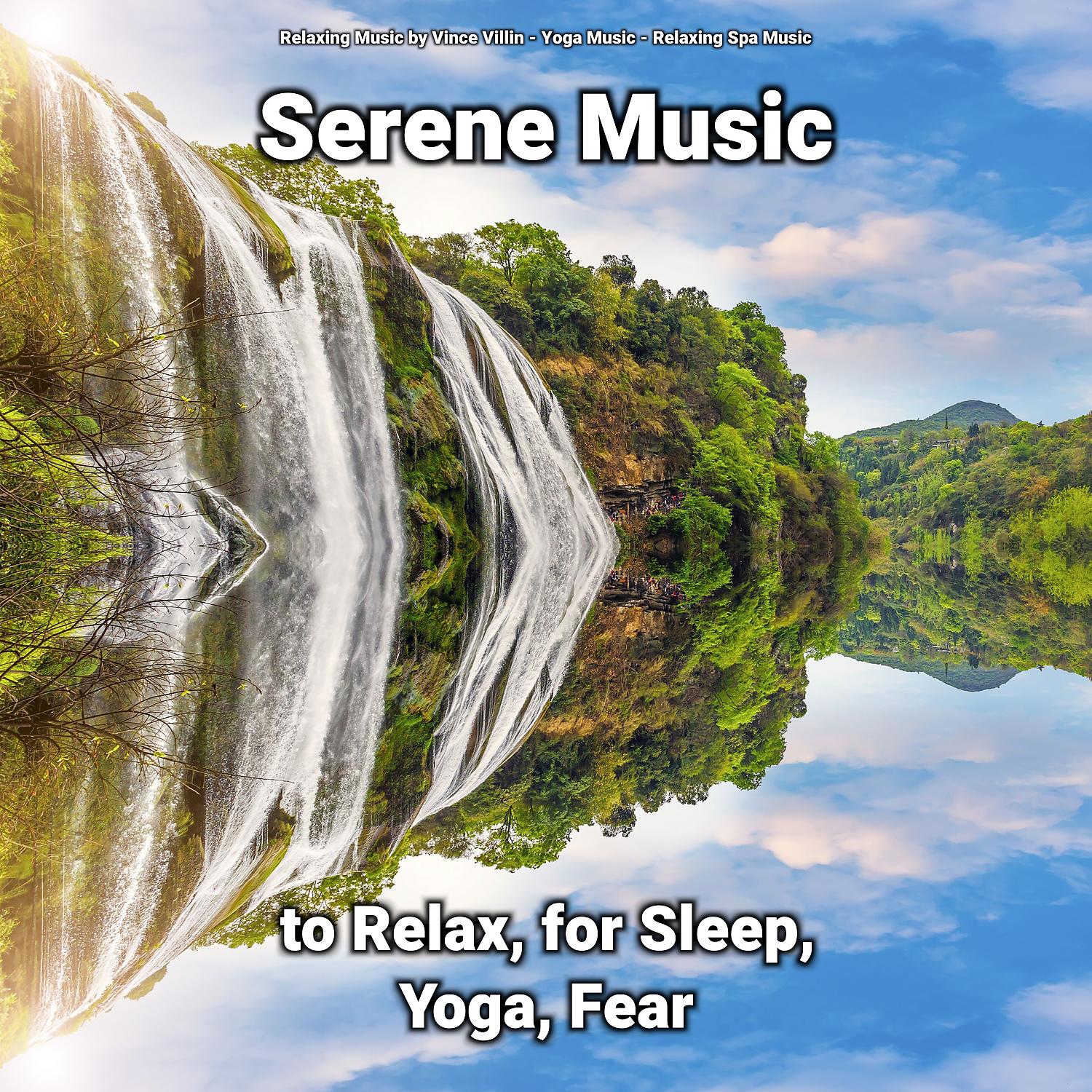 Постер альбома Serene Music to Relax, for Sleep, Yoga, Fear