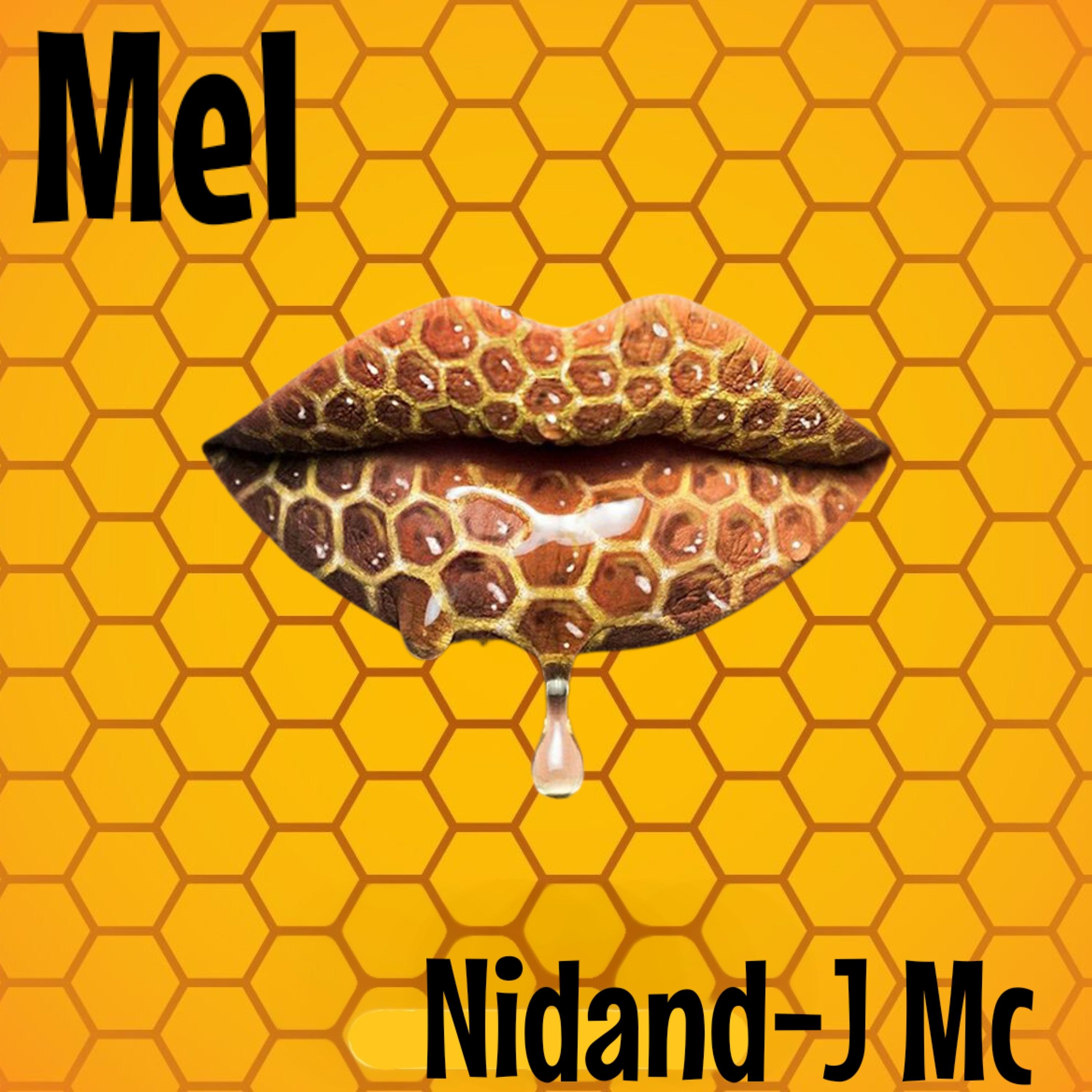 Постер альбома Mel