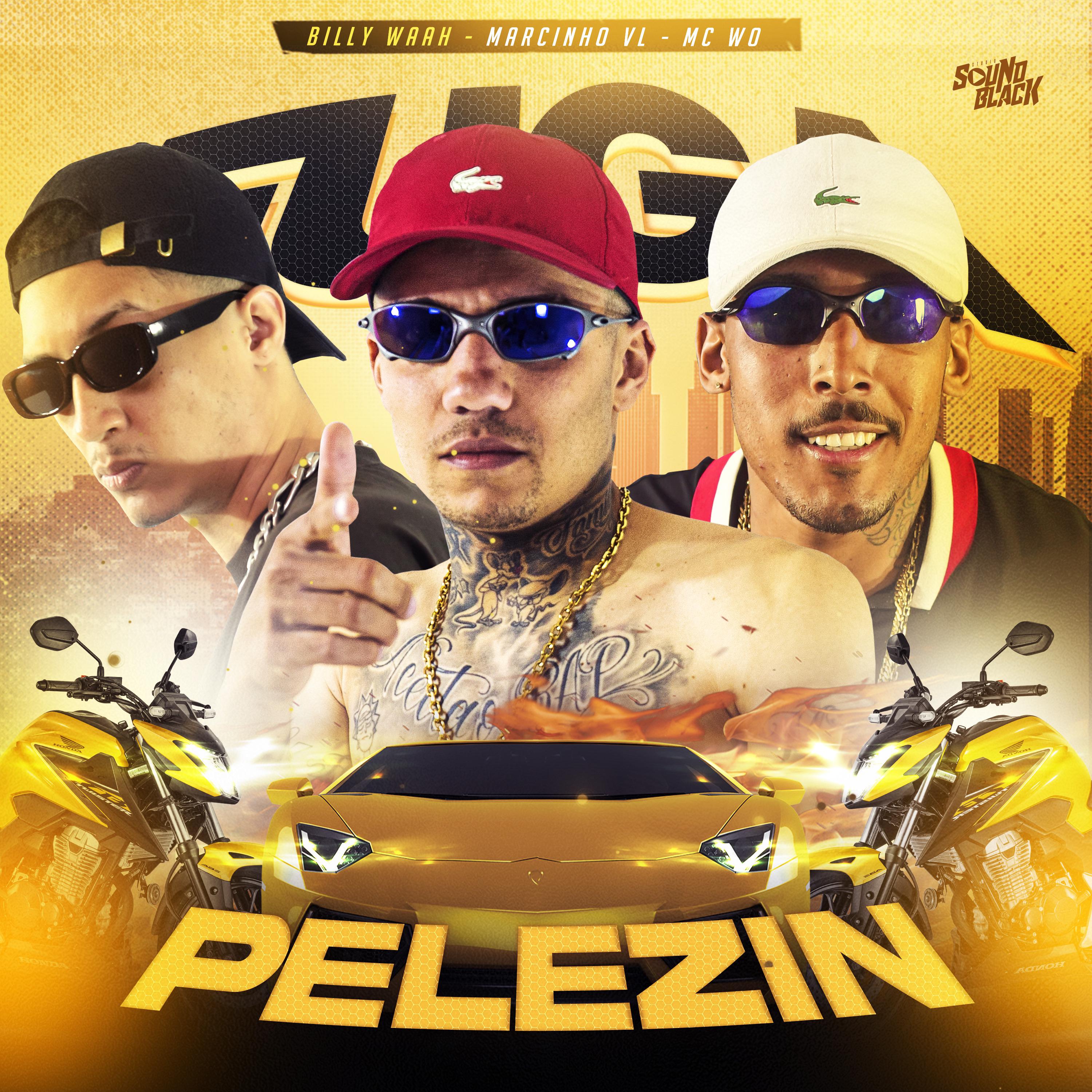 Постер альбома Pelezin