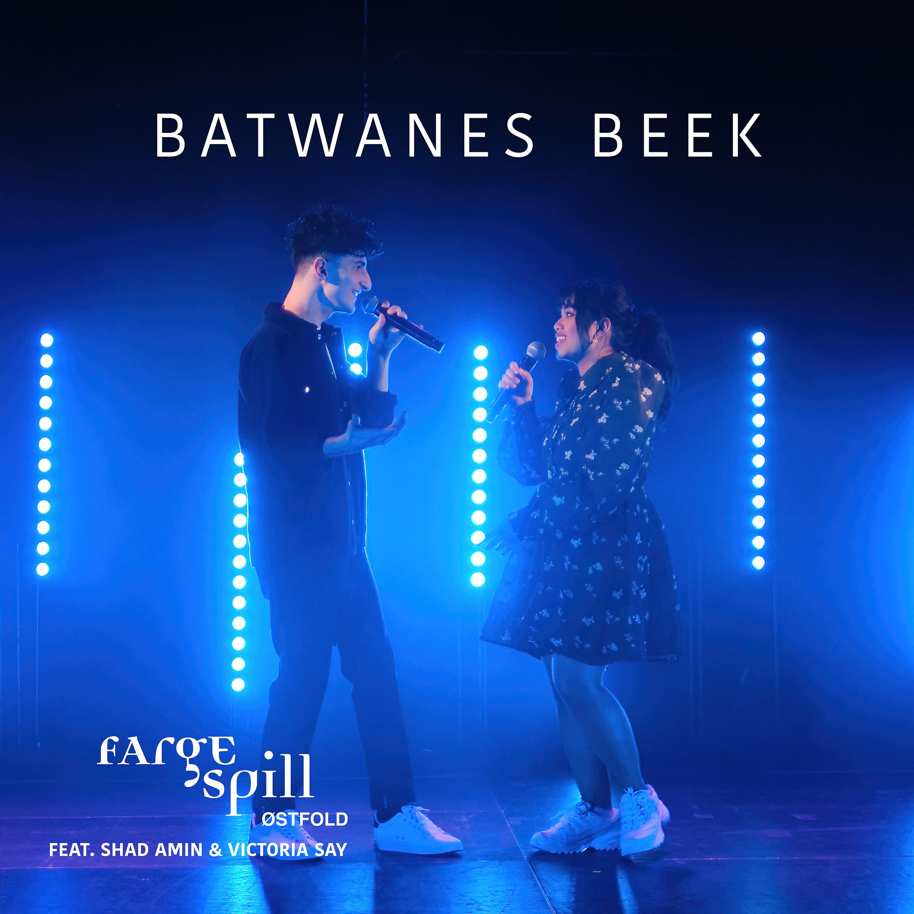 Постер альбома Batwanes Beek