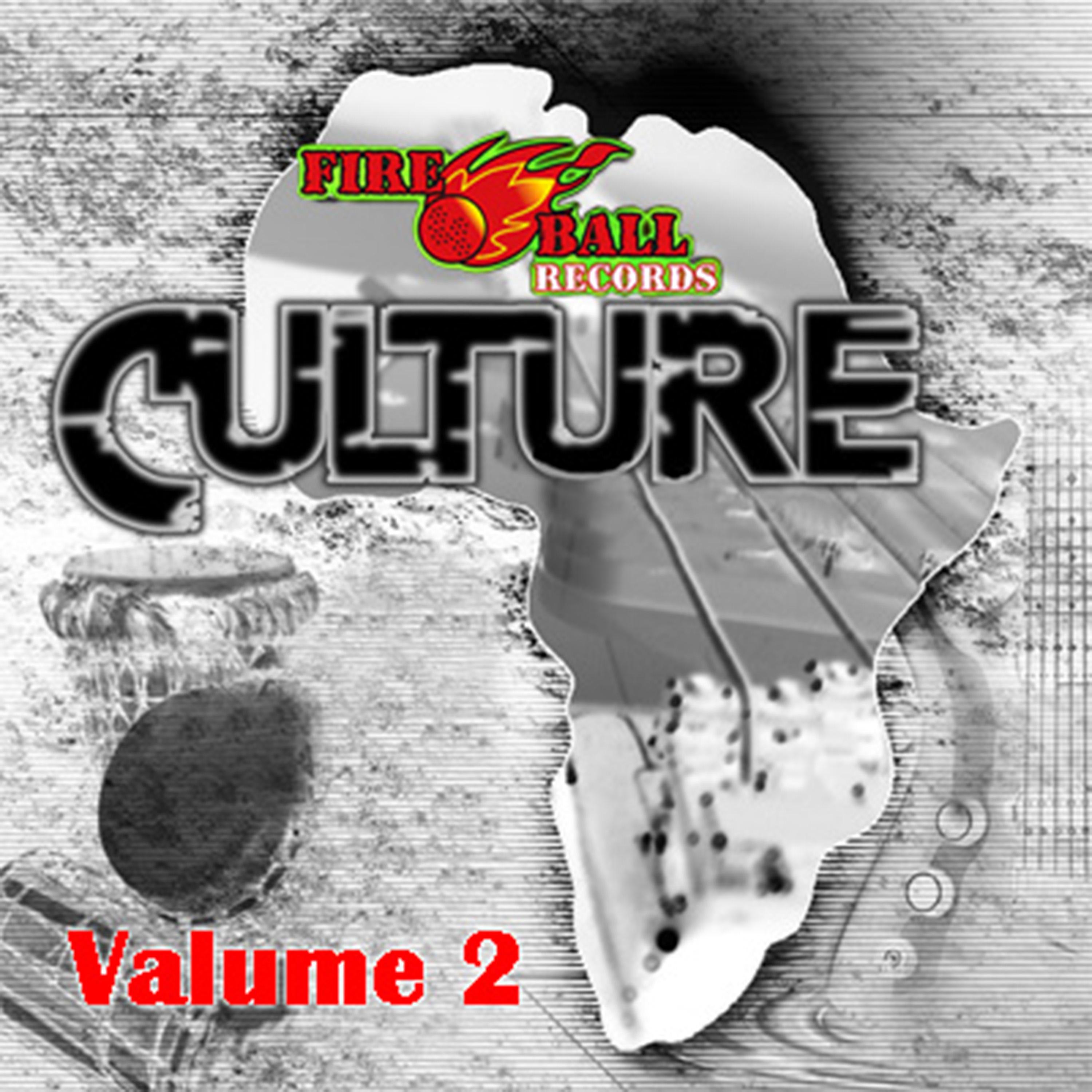 Постер альбома Culture, Vol. 2