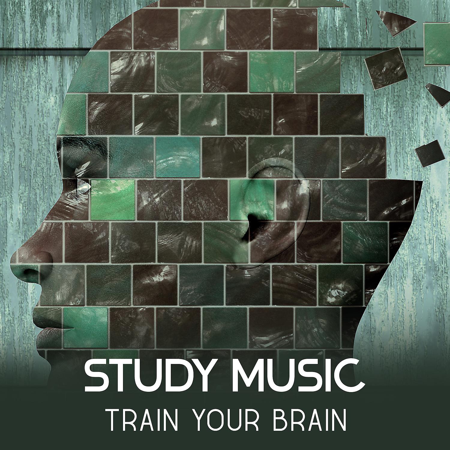 Постер альбома Study Music: Train Your Brain – Relaxation Sounds, Increase Memory, Reduce Your Stress Before Exam, Concentrate and Focus
