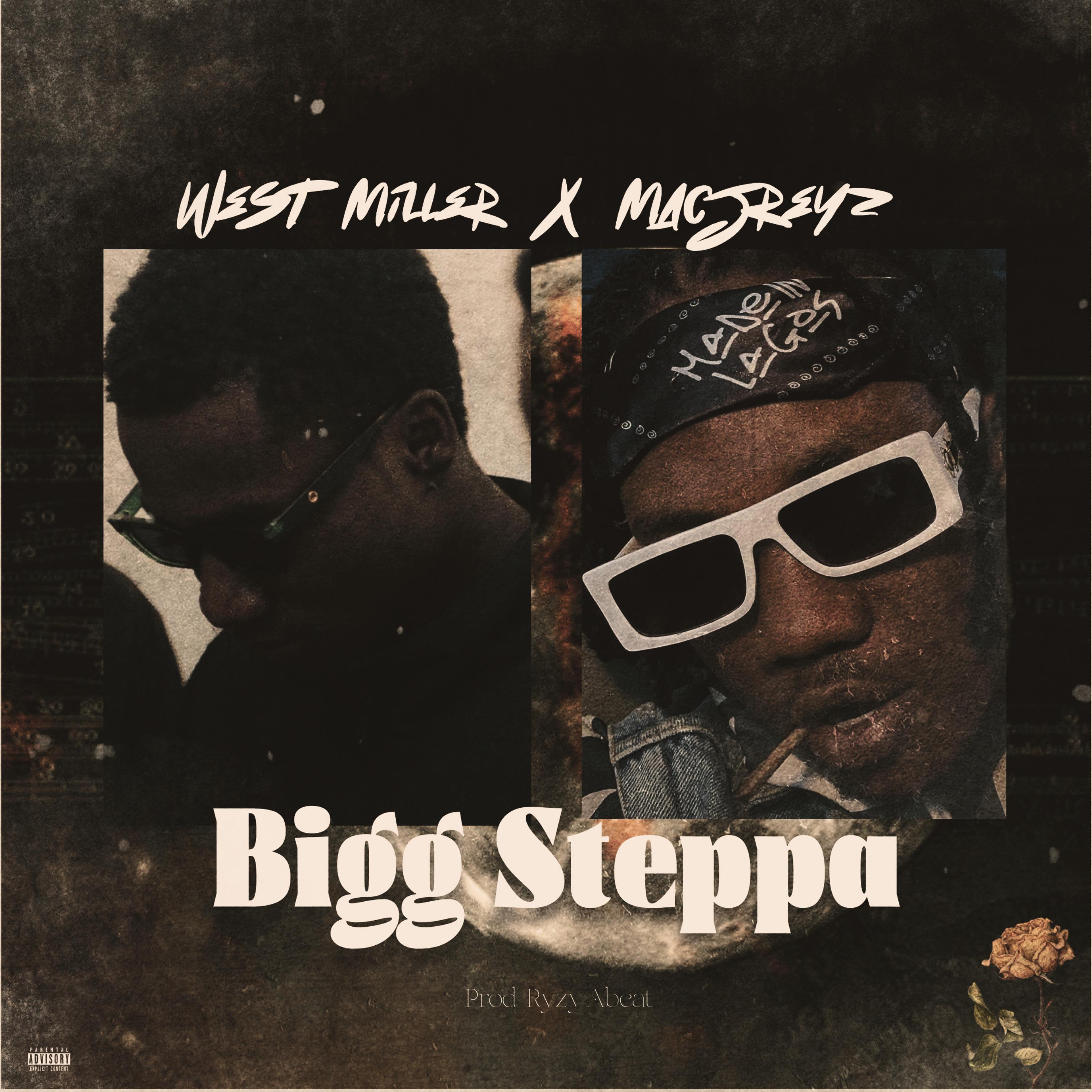 Постер альбома Bigg Steppa