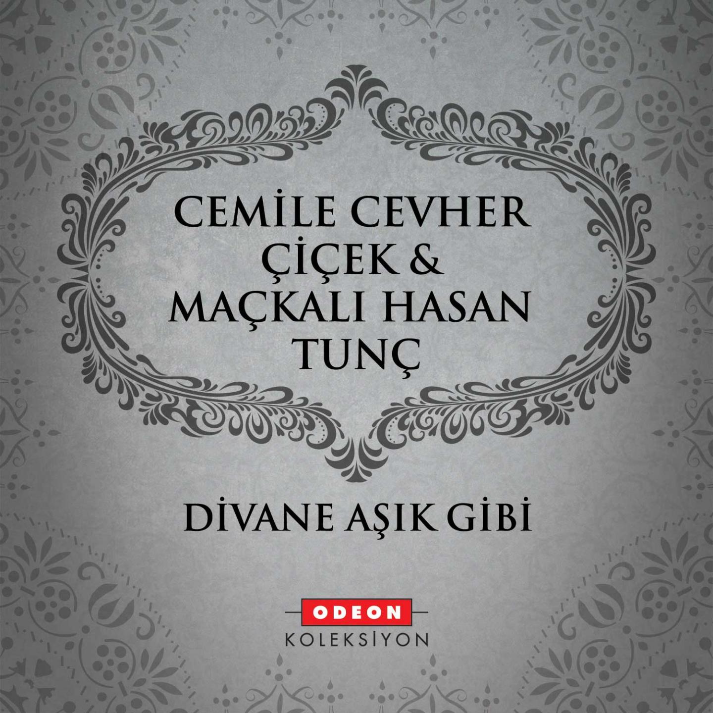 Постер альбома Divane Aşık Gibi
