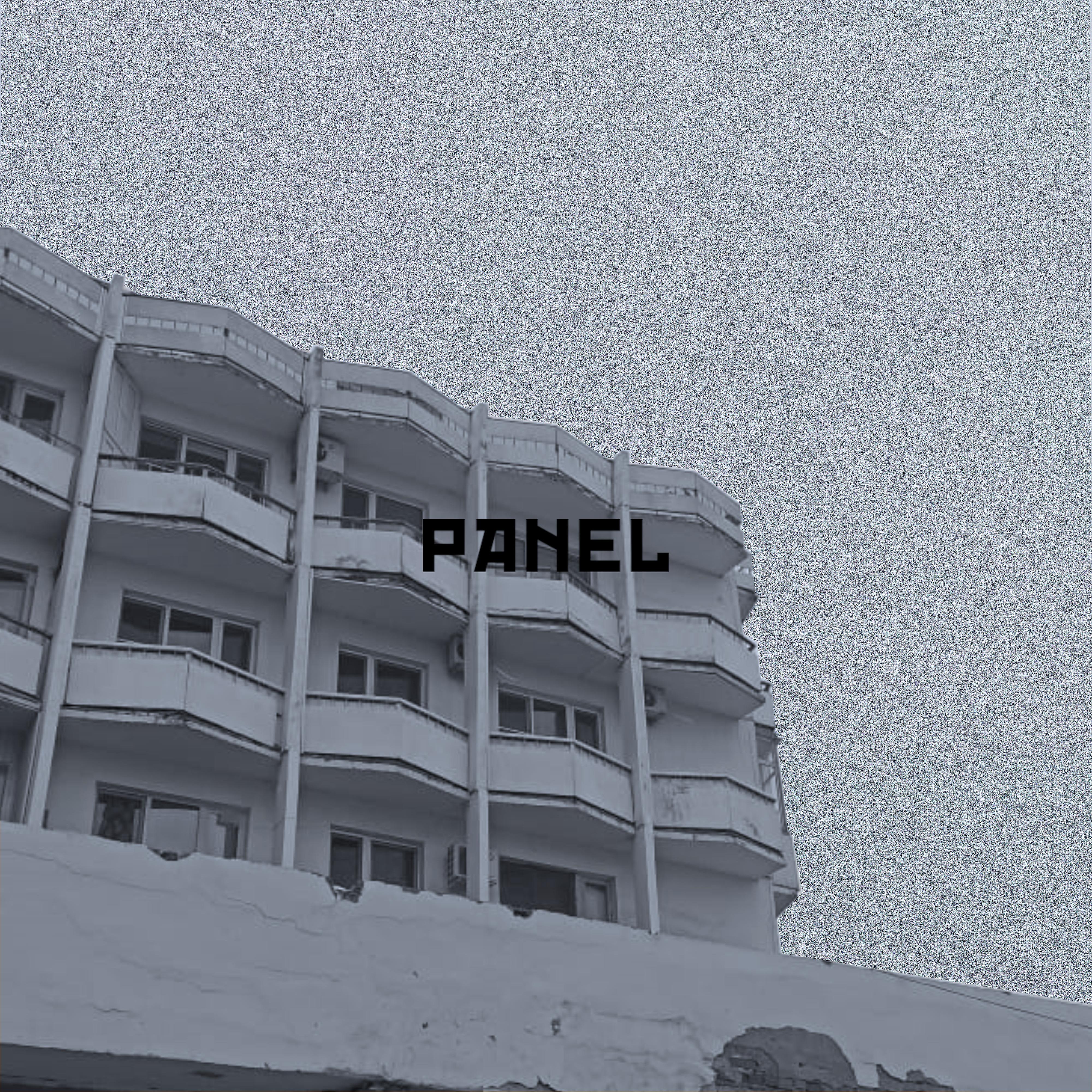 Постер альбома Panel