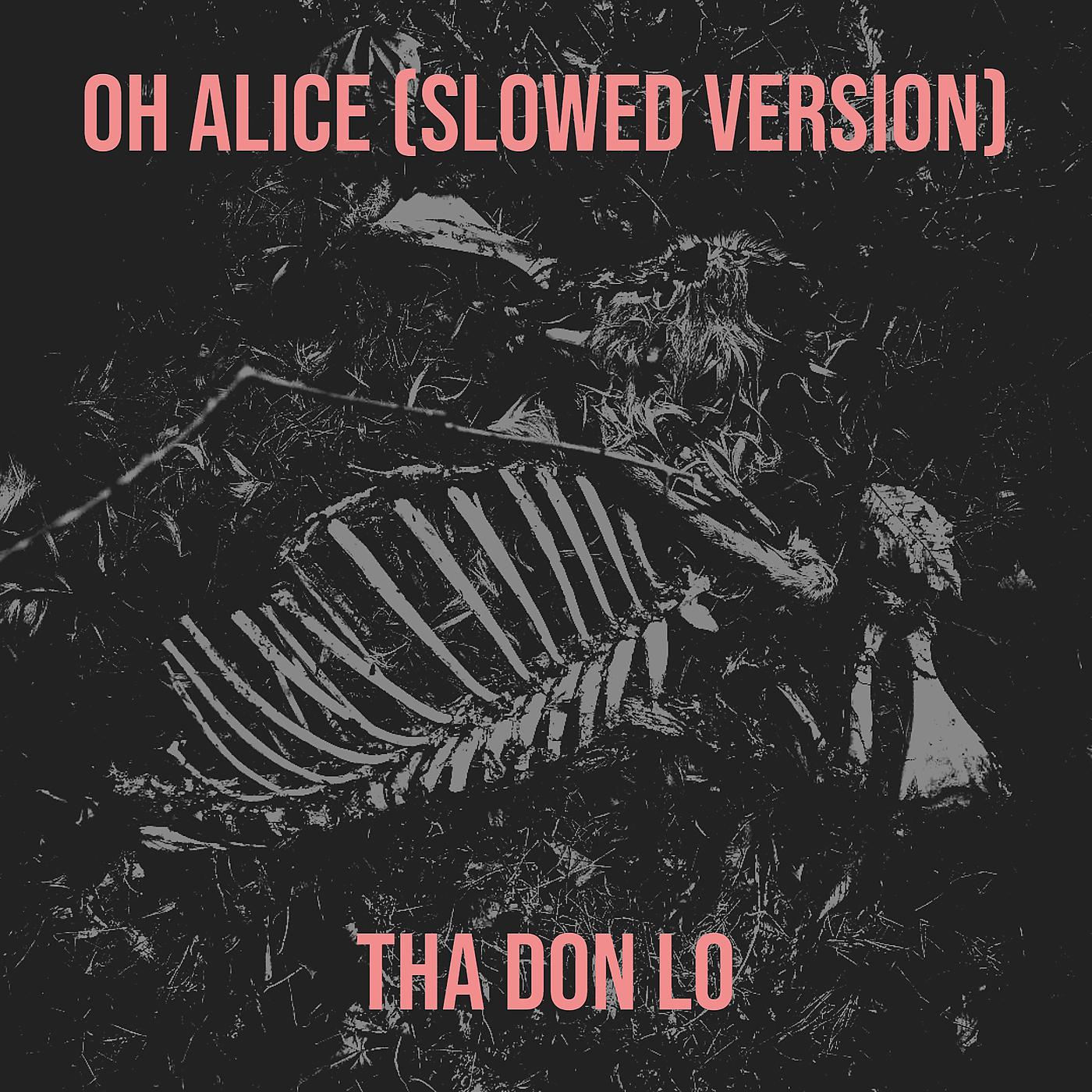 Постер альбома Oh Alice (Slowed Version)
