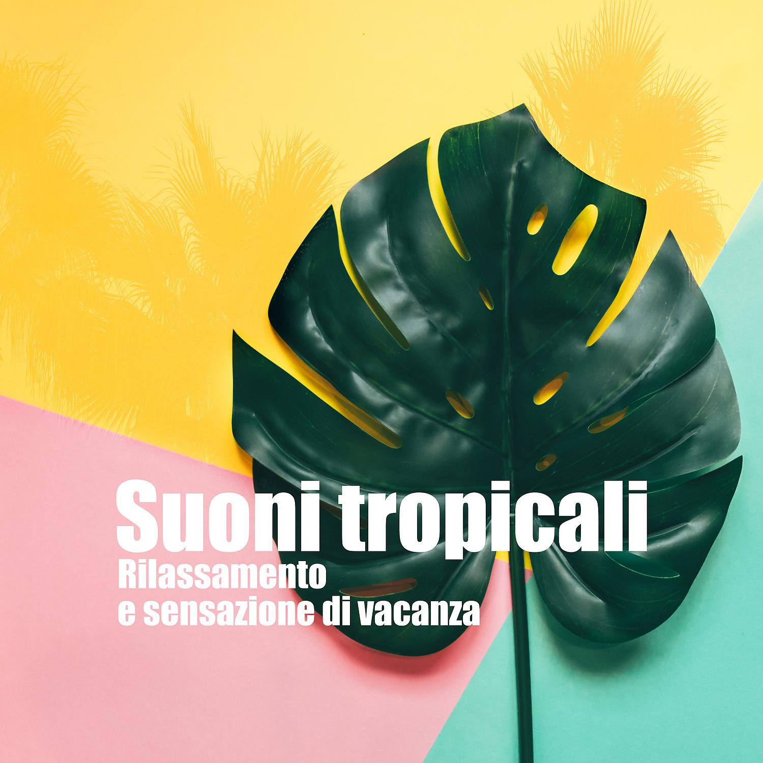 Постер альбома Suoni tropicali: Rilassamento e sensazione di vacanza - Uccelli esotici, Natura selvaggia, Giungla