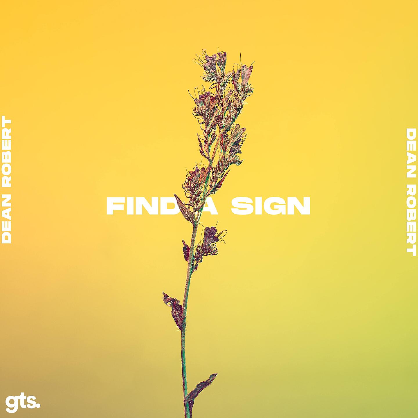 Постер альбома Find a Sign