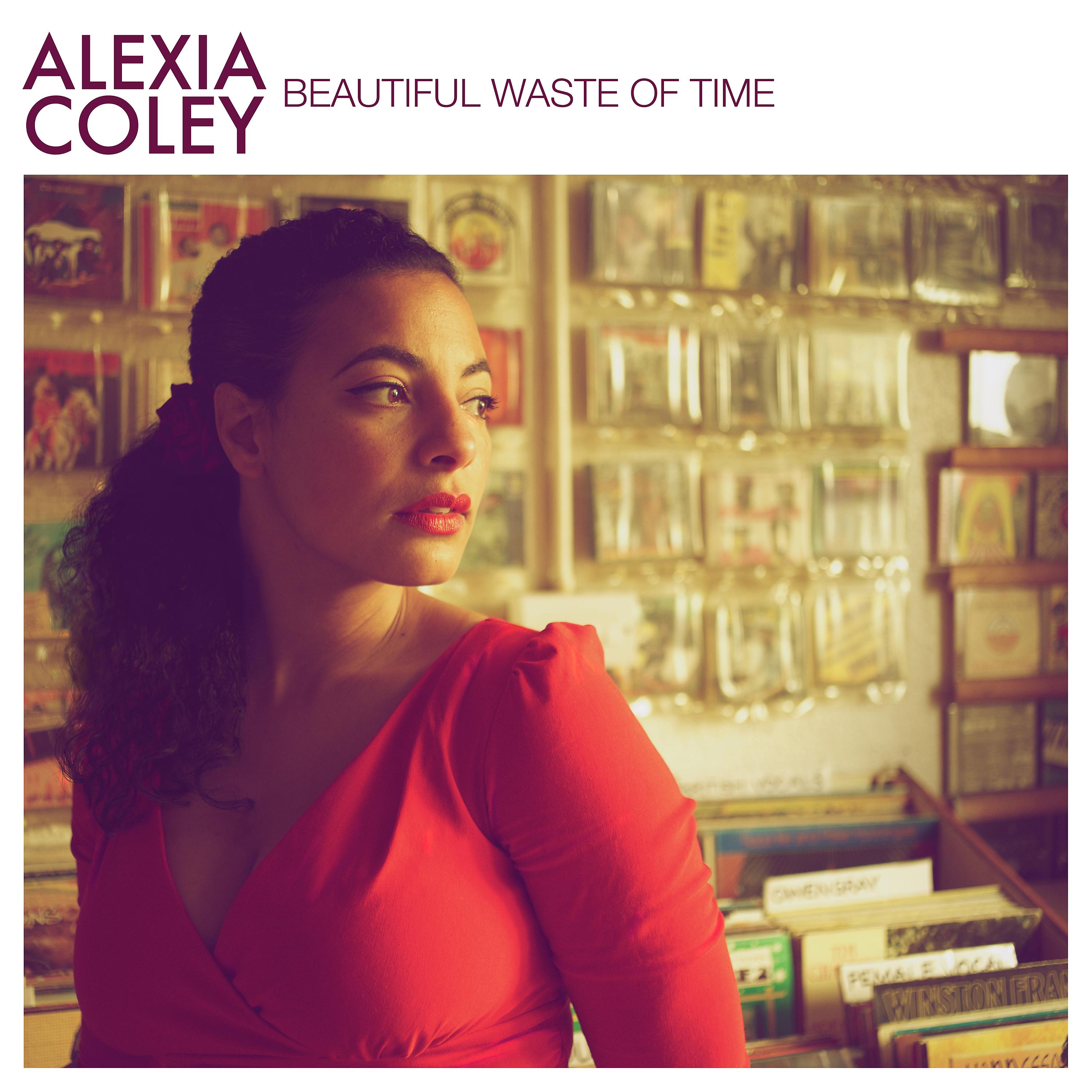 Постер альбома Beautiful Waste of Time - Single