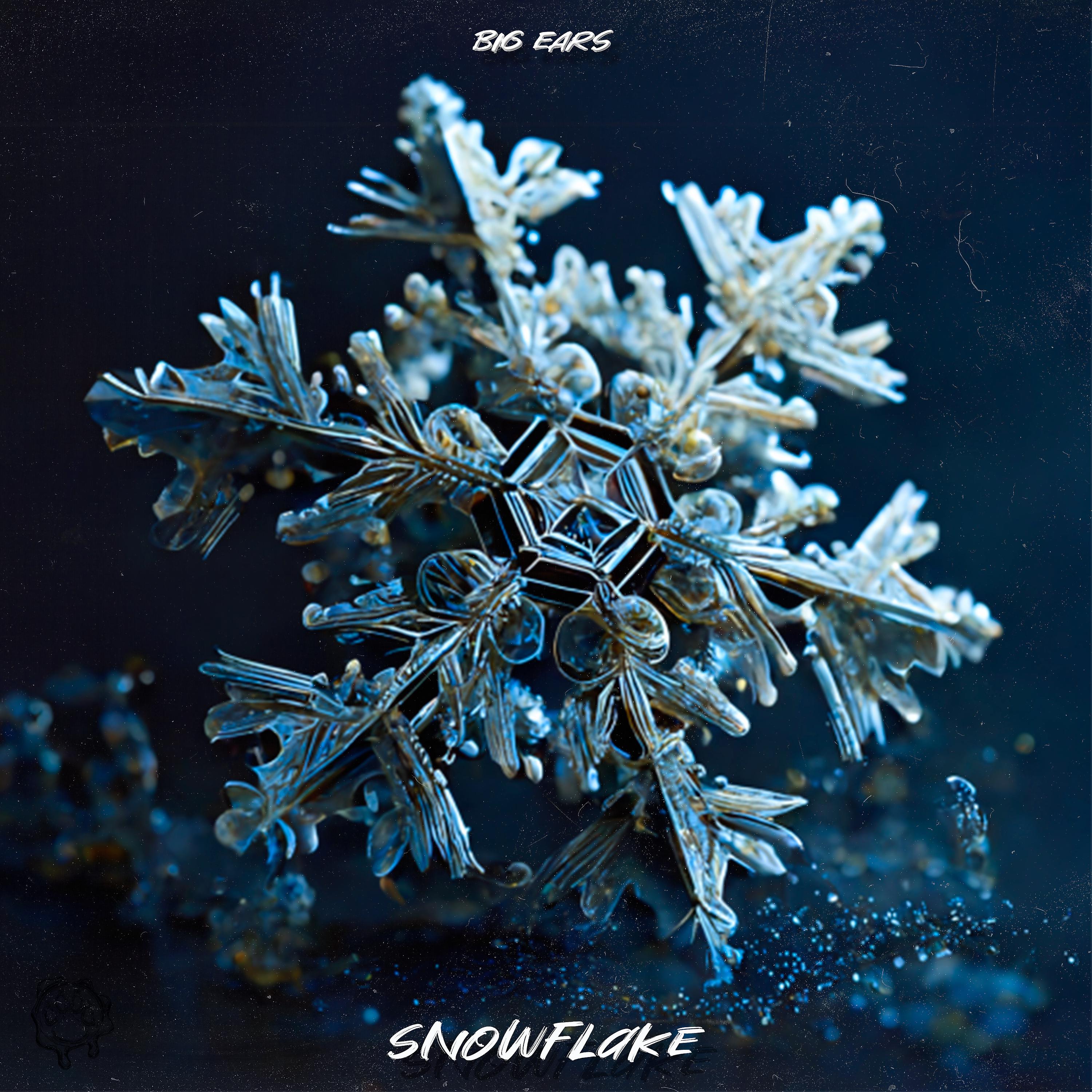 Постер альбома SNOWFLAKE