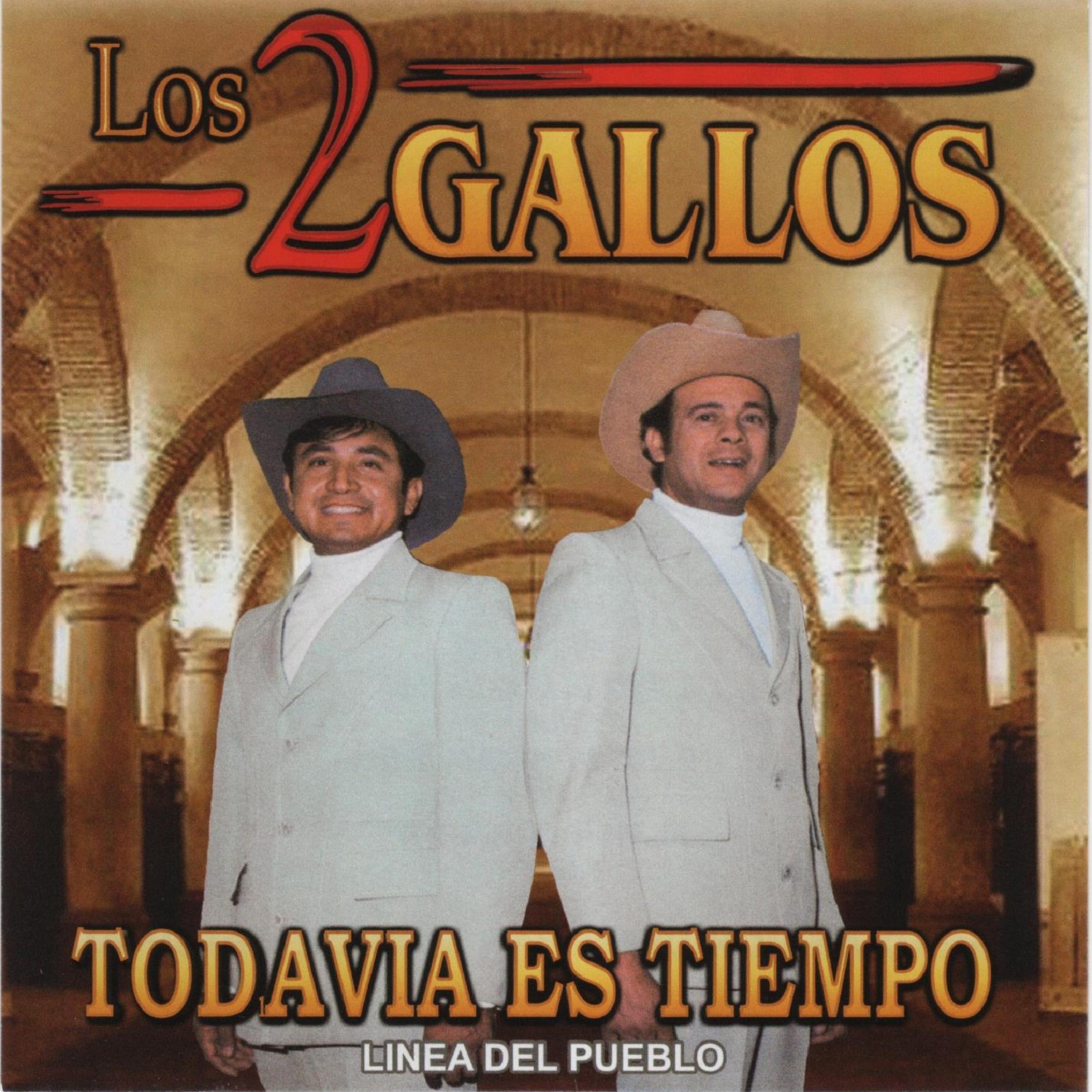 Постер альбома Todavia Es Tiempo