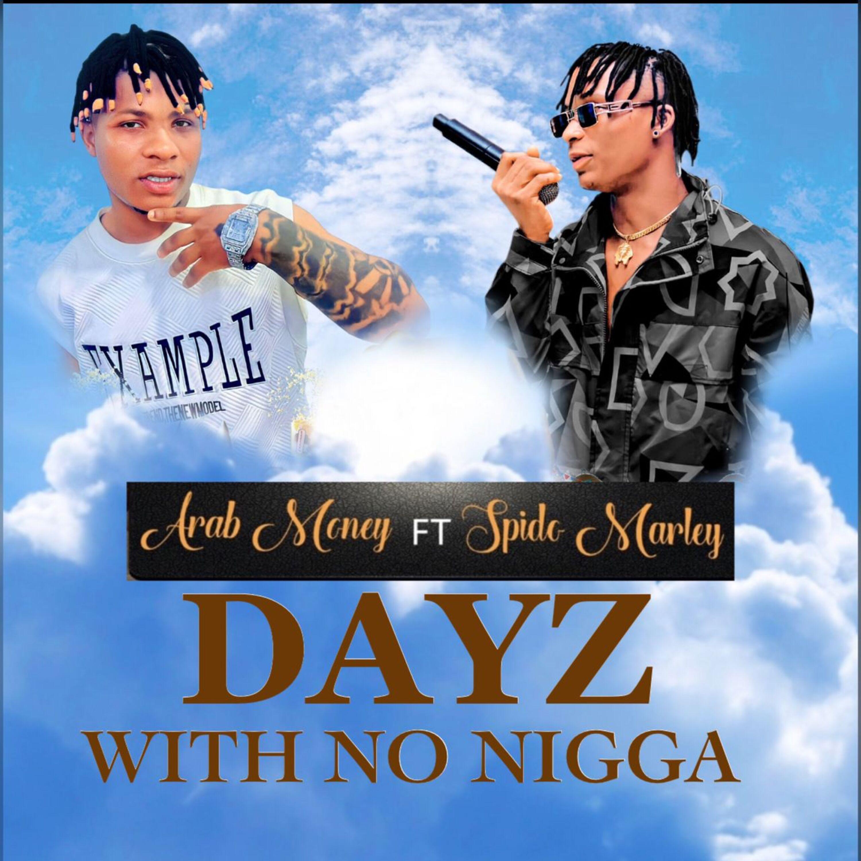 Постер альбома Dayz with No Nigga