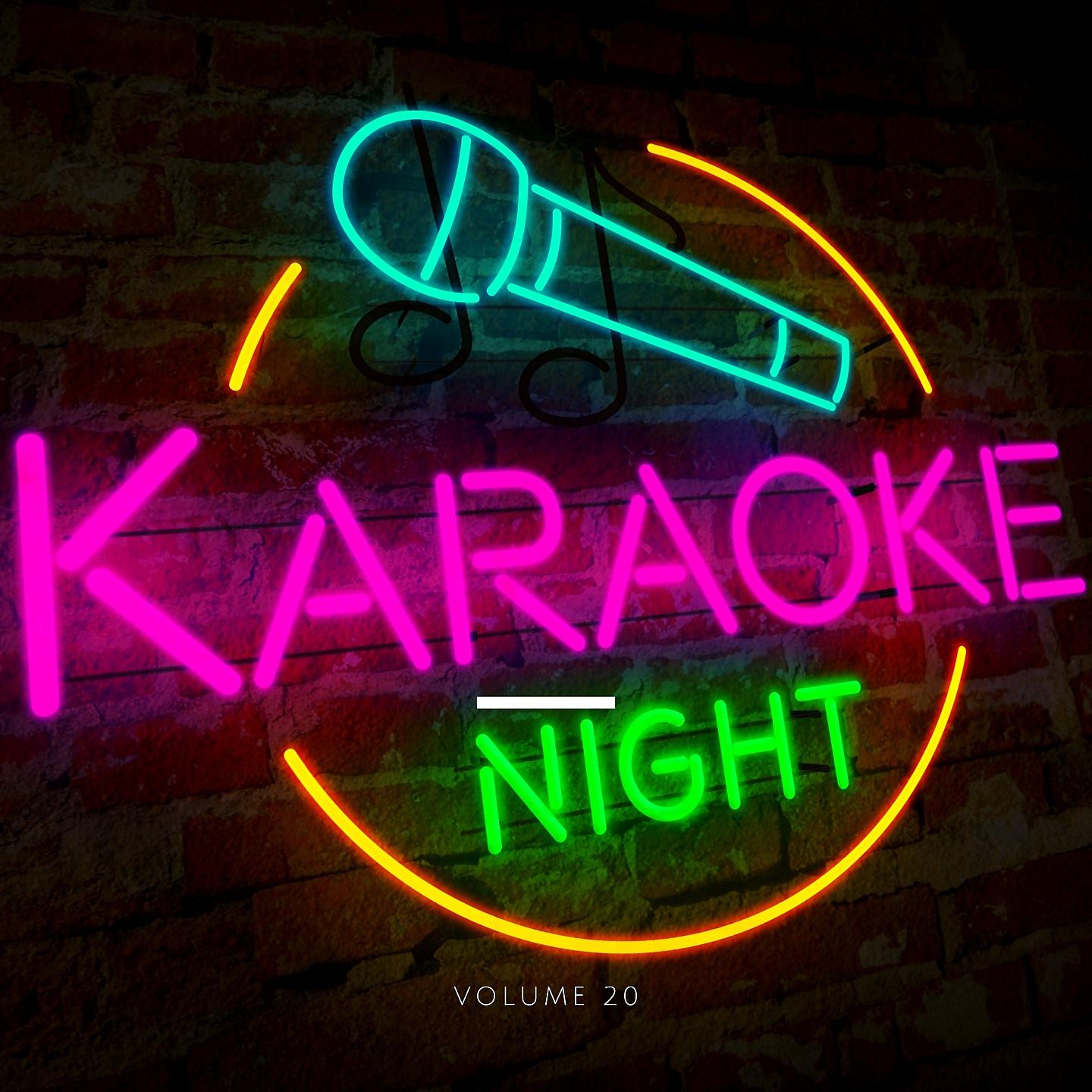 Постер альбома Karaoke Night, Vol. 20