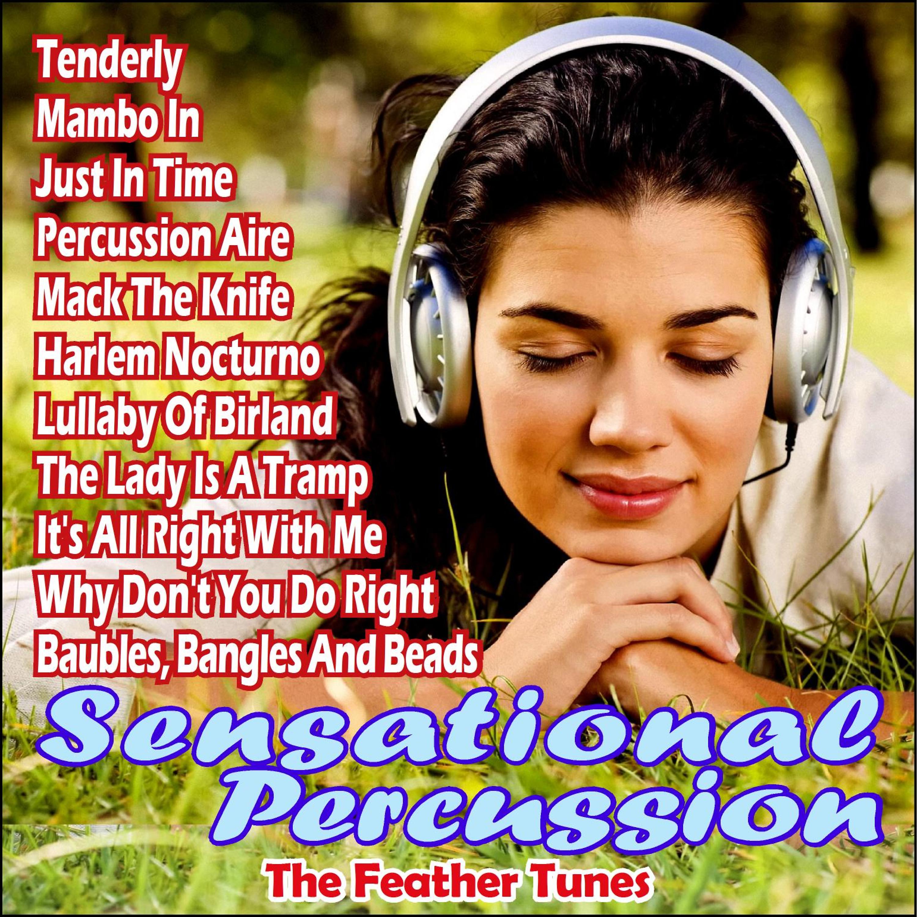 Постер альбома Sensational Percussion