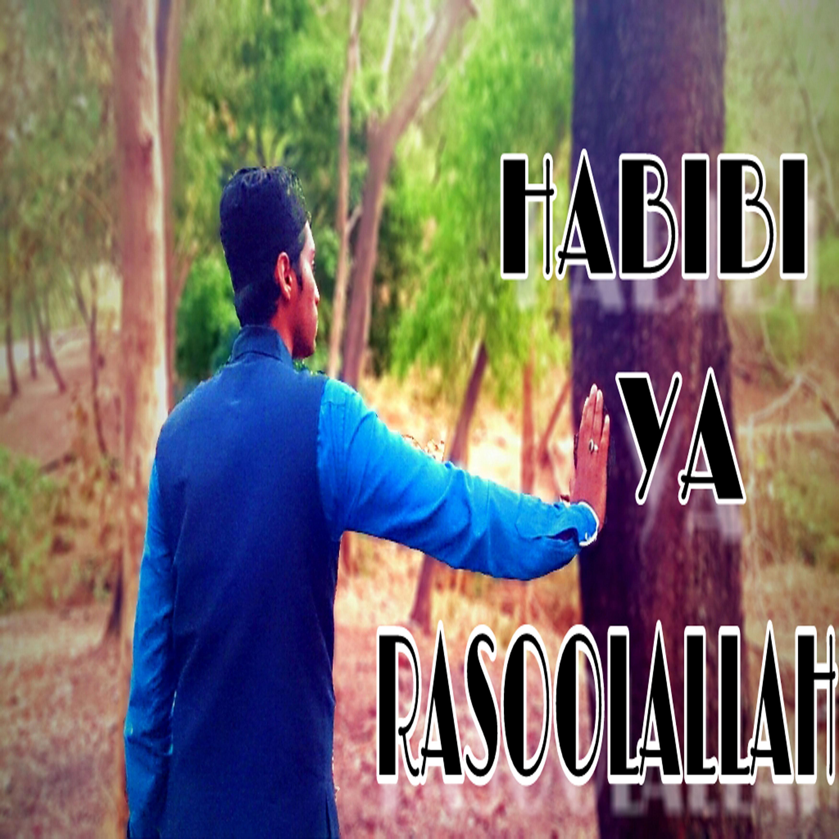 Постер альбома Habibi Ya Rasoolallah