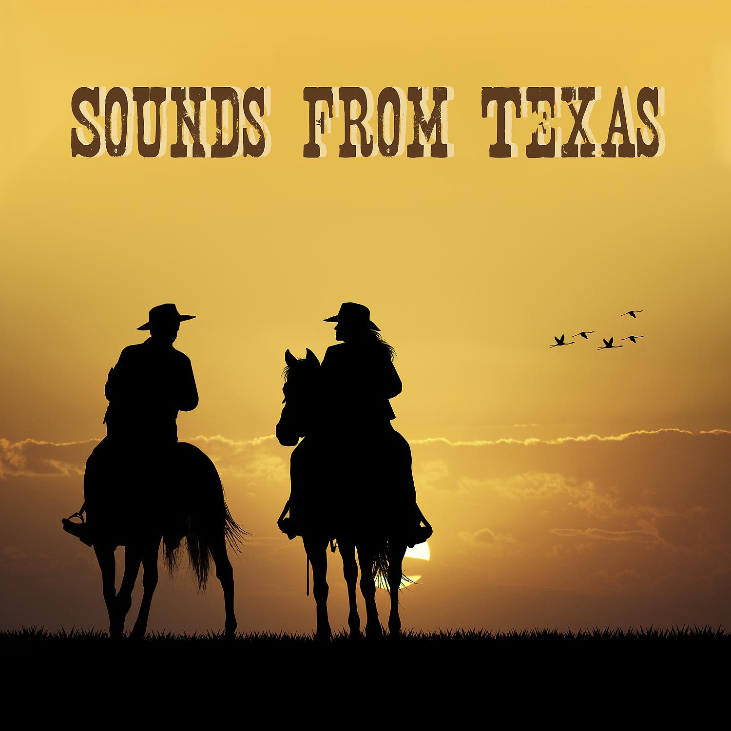 Постер альбома Sounds from Texas
