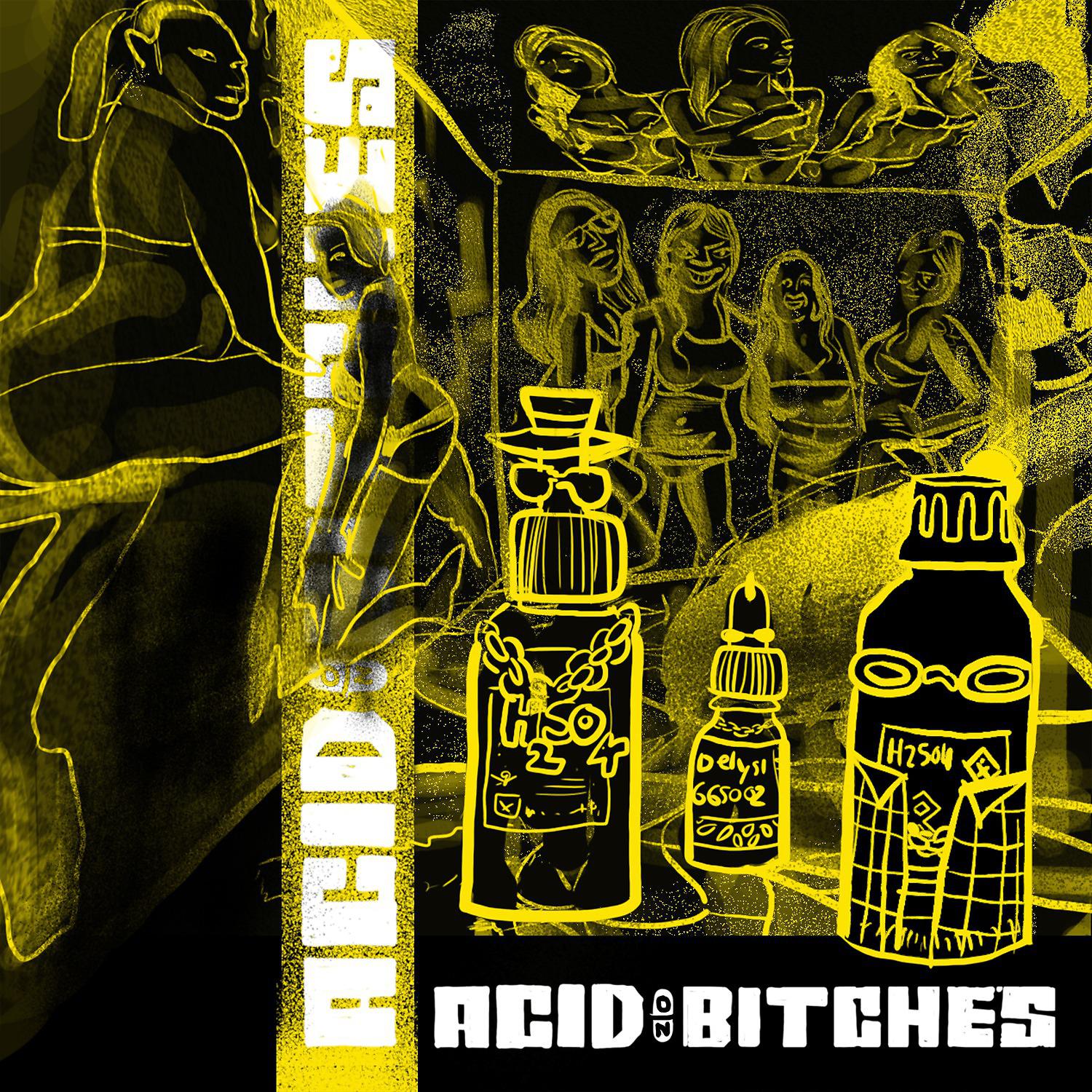 Постер альбома Acid on Bitches