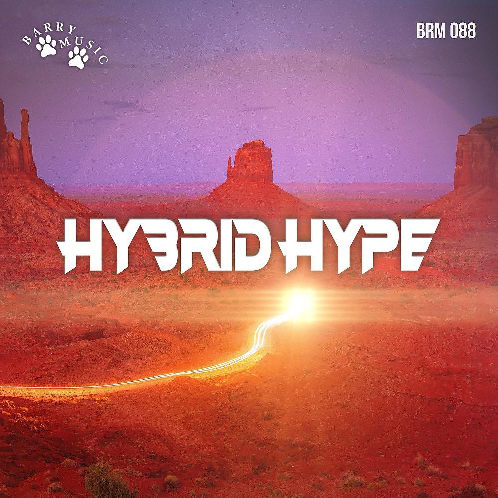 Постер альбома Hybrid Hype