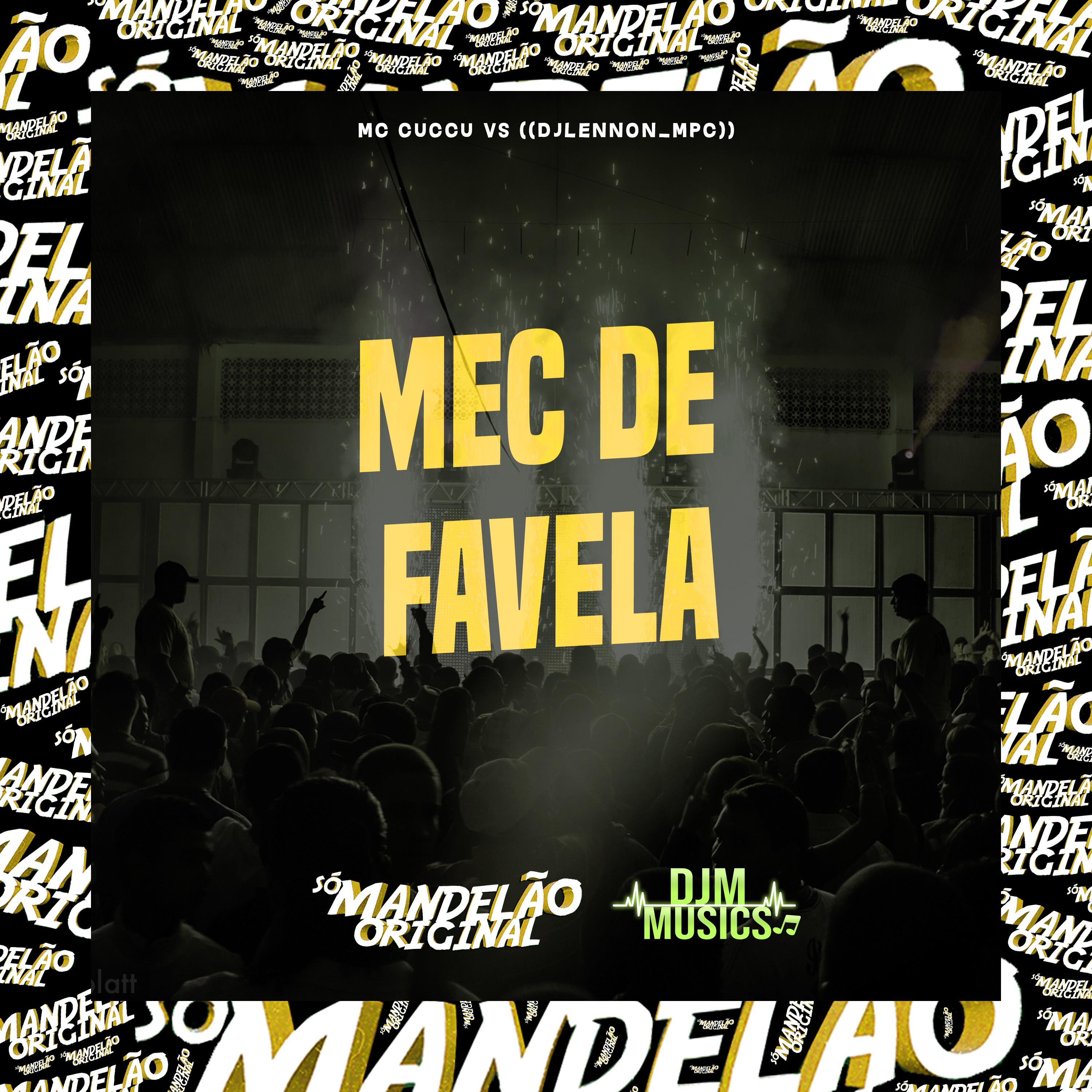 Постер альбома Mec de Favela