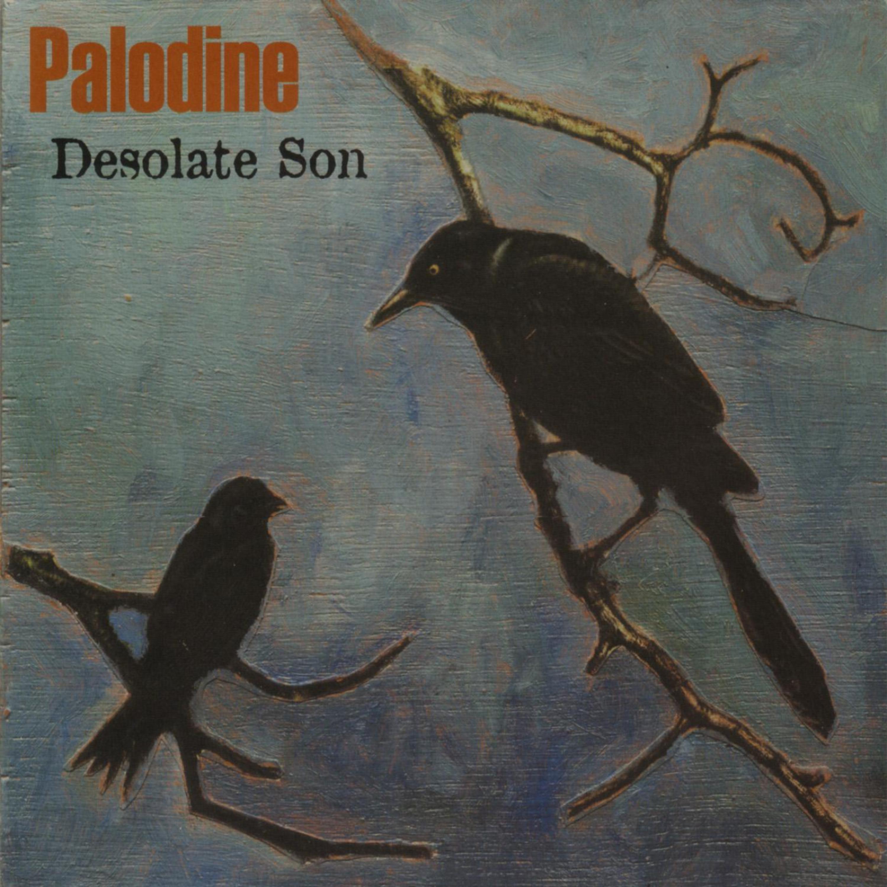 Постер альбома Desolate Son