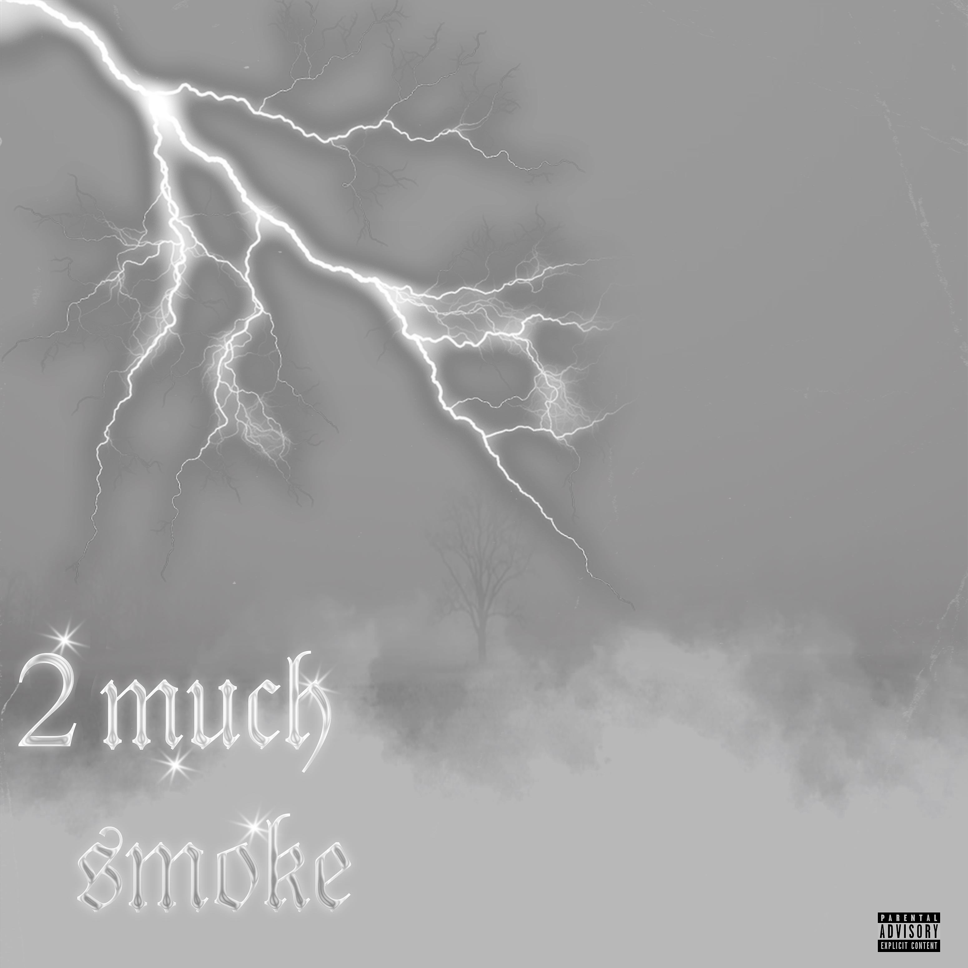 Постер альбома 2 Much Smoke