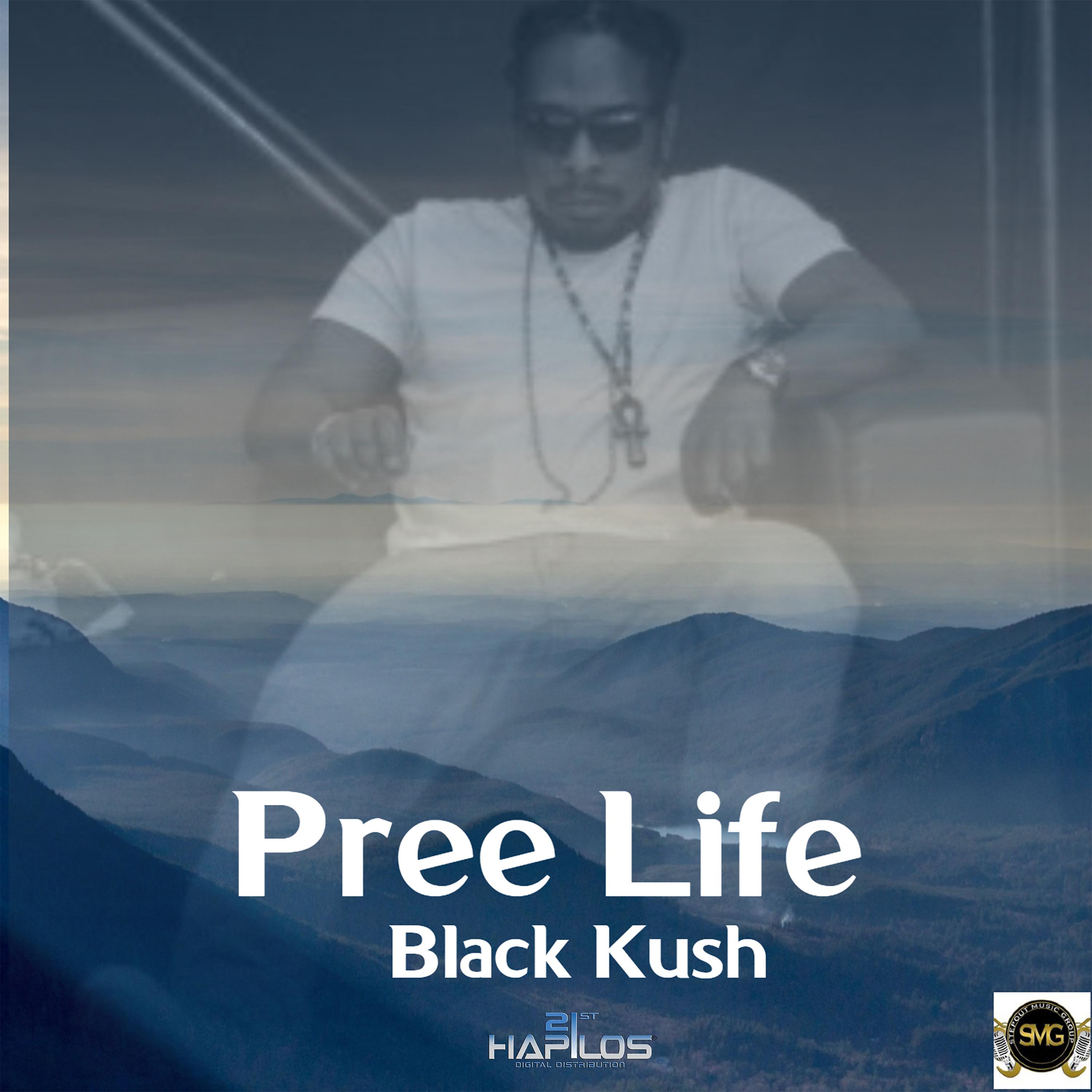 Постер альбома Pree Life