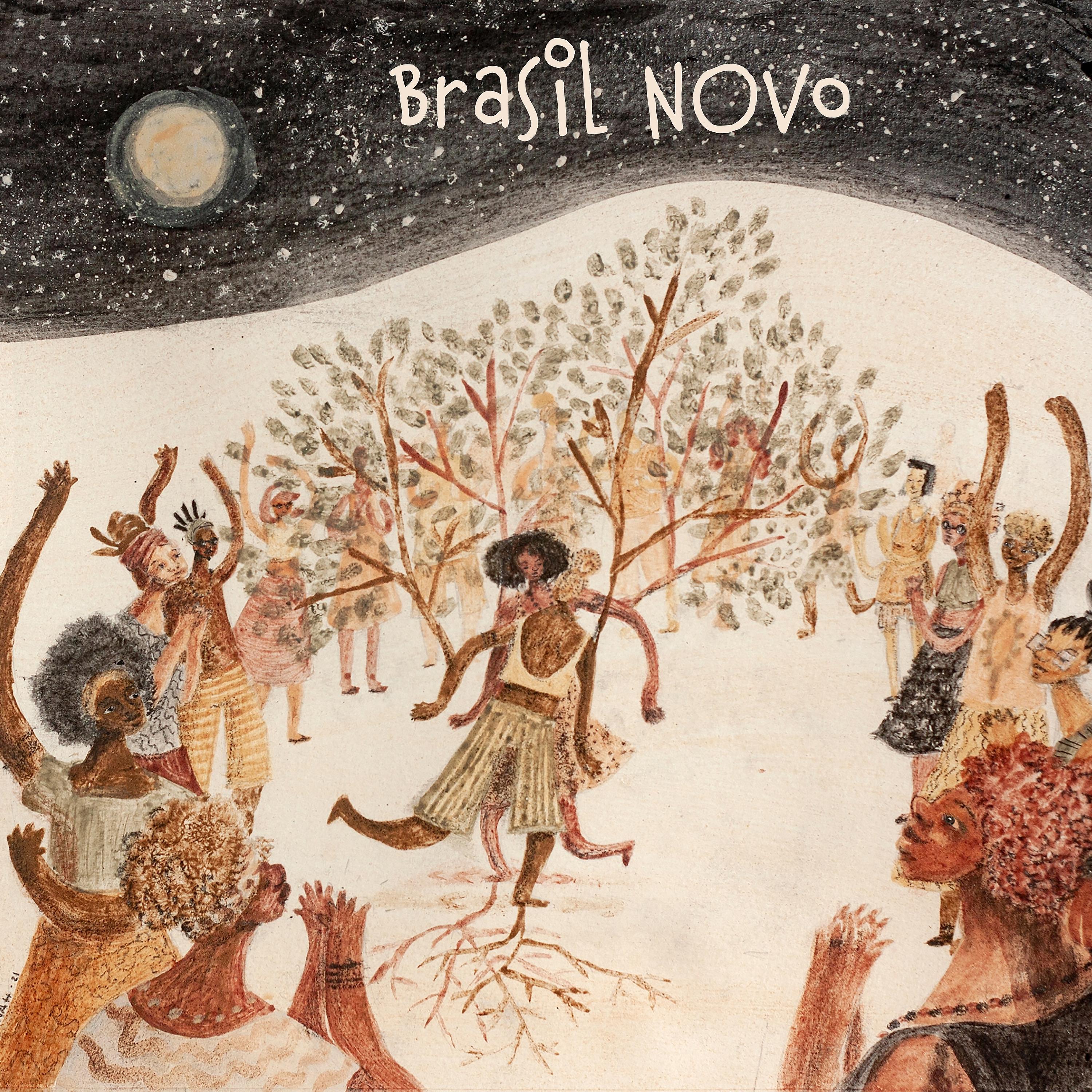 Постер альбома Brasil Novo
