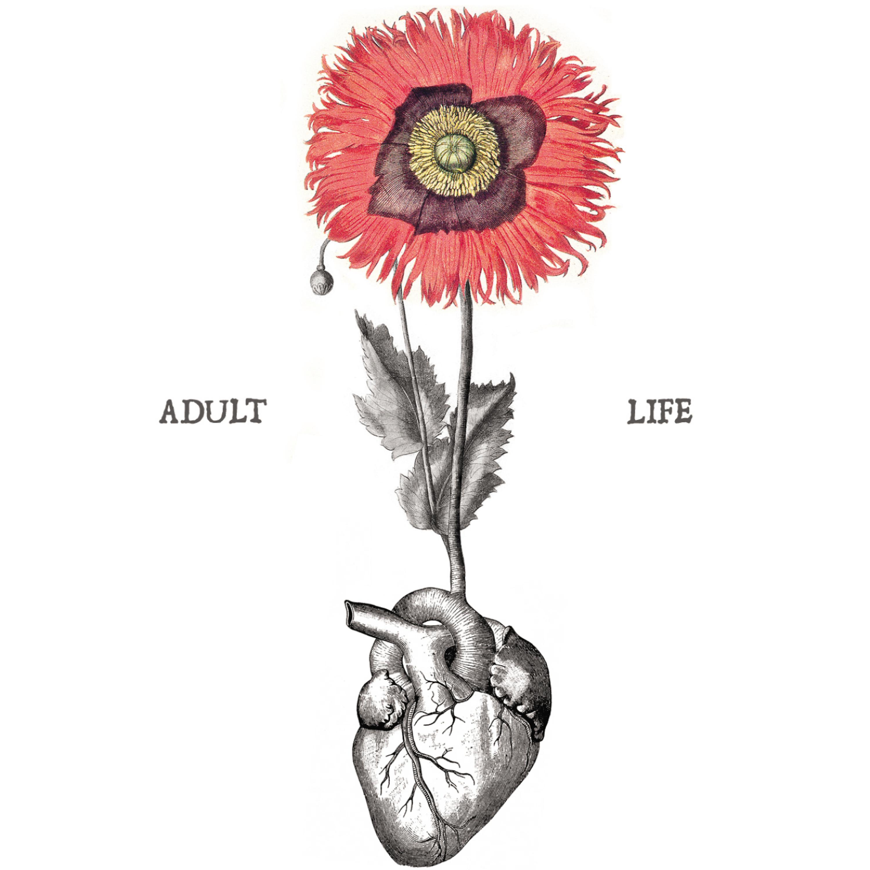 Постер альбома Adult Life