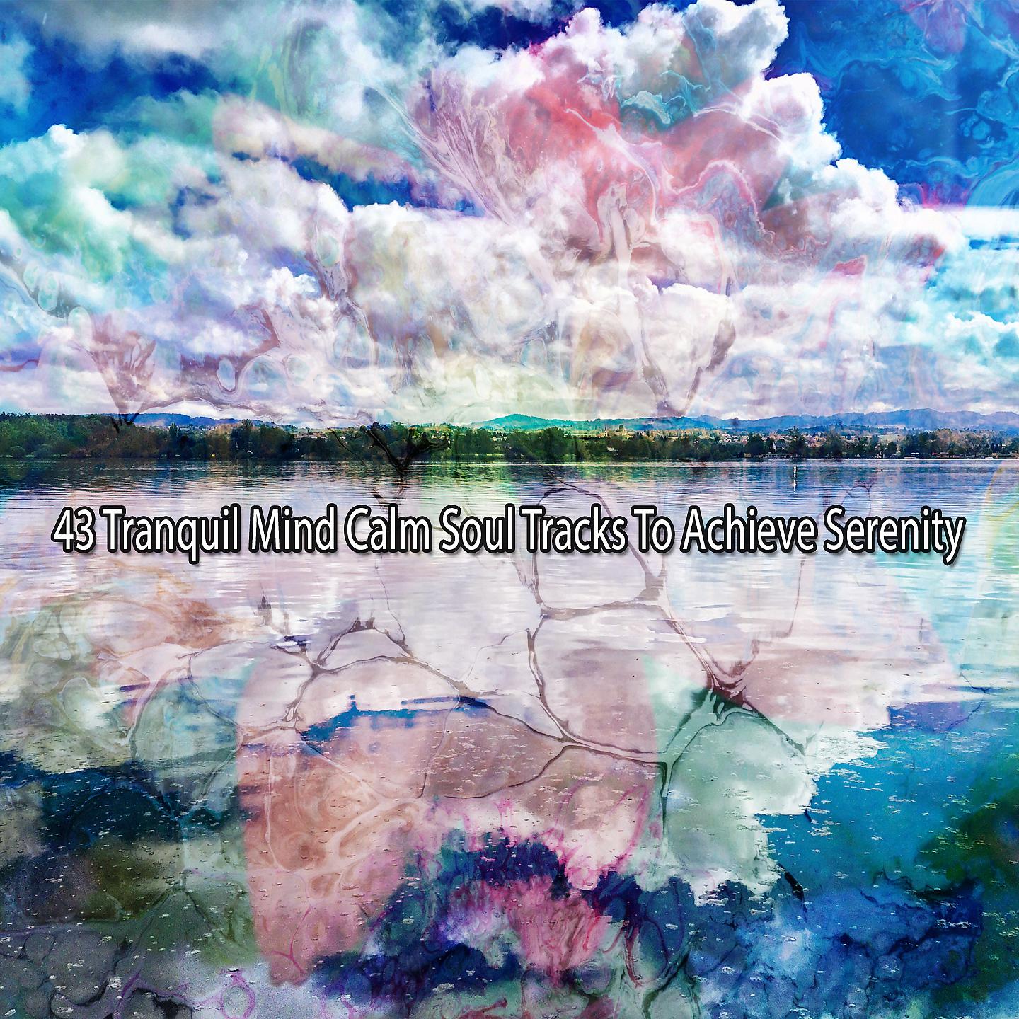 Постер альбома 43 трека Tranquil Mind, Calm Soul для достижения спокойствия
