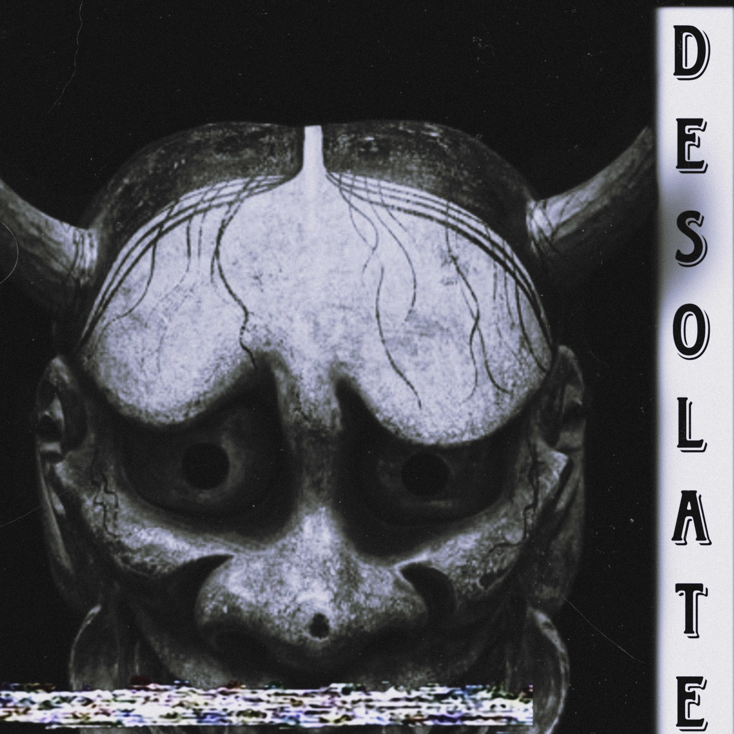 Постер альбома DESOLATE