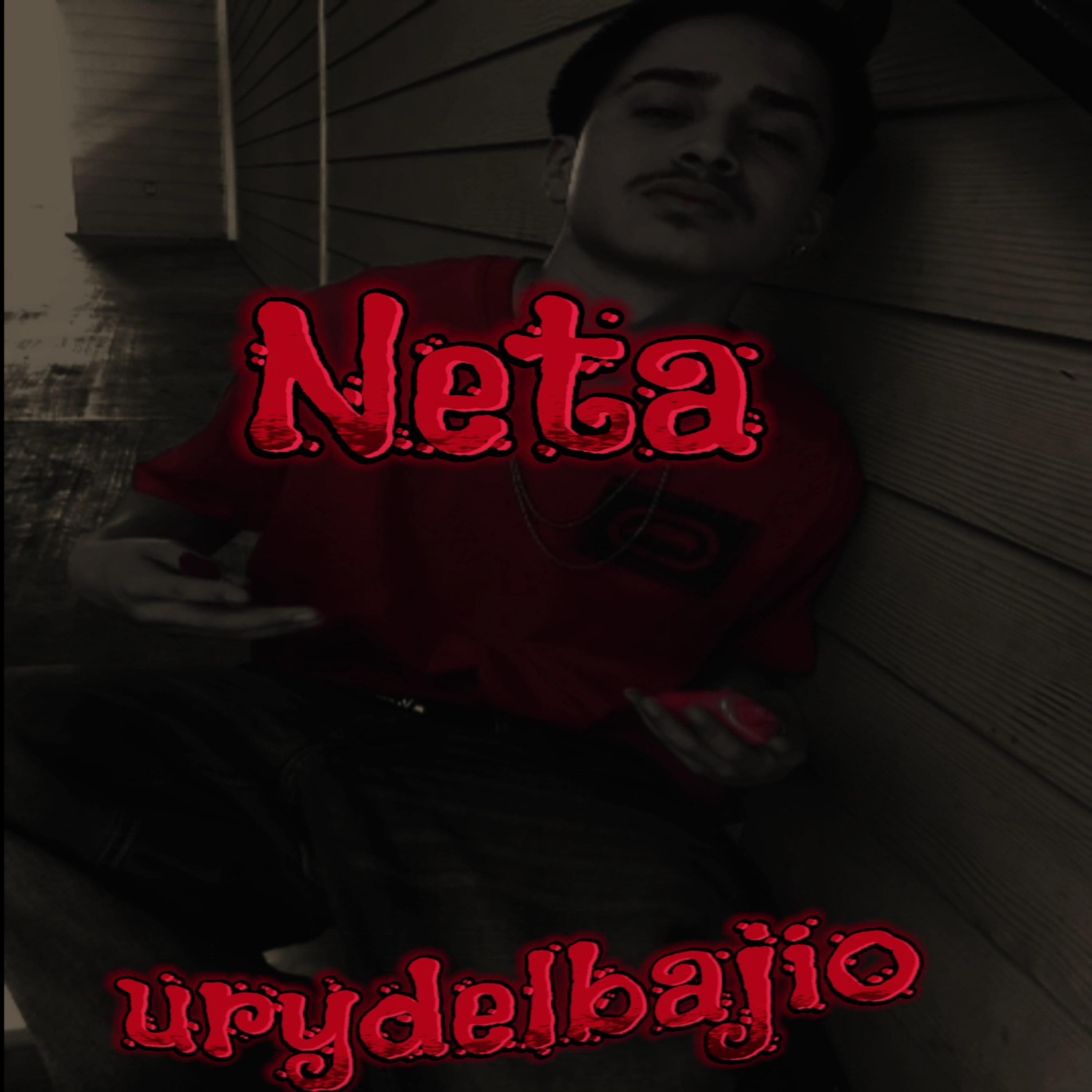 Постер альбома Neta