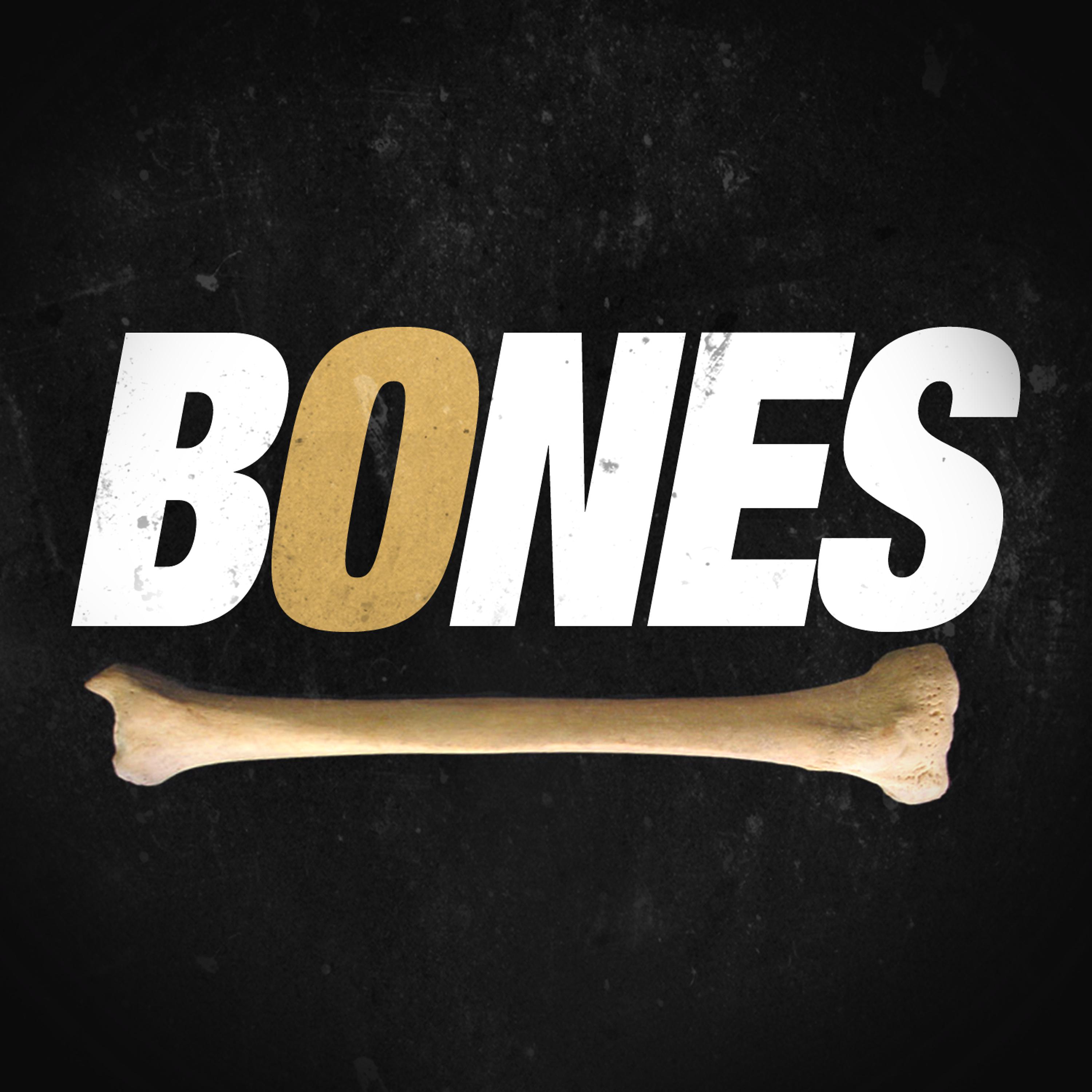 Постер альбома Bones (Générique / Thème Série Télé)