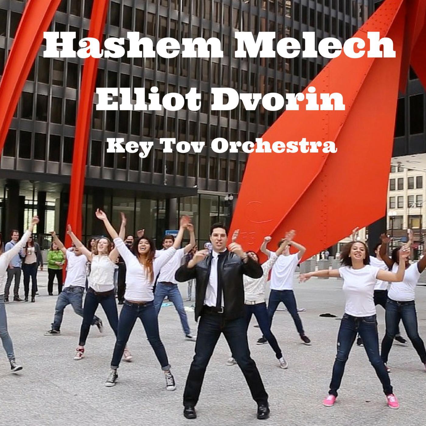 Постер альбома Hashem Melech (feat. Elliot Dvorin)