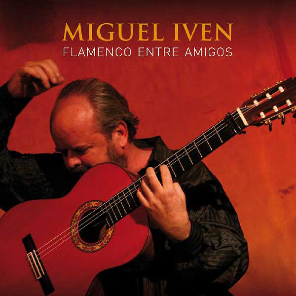 Постер альбома Flamenco Entre Amigos