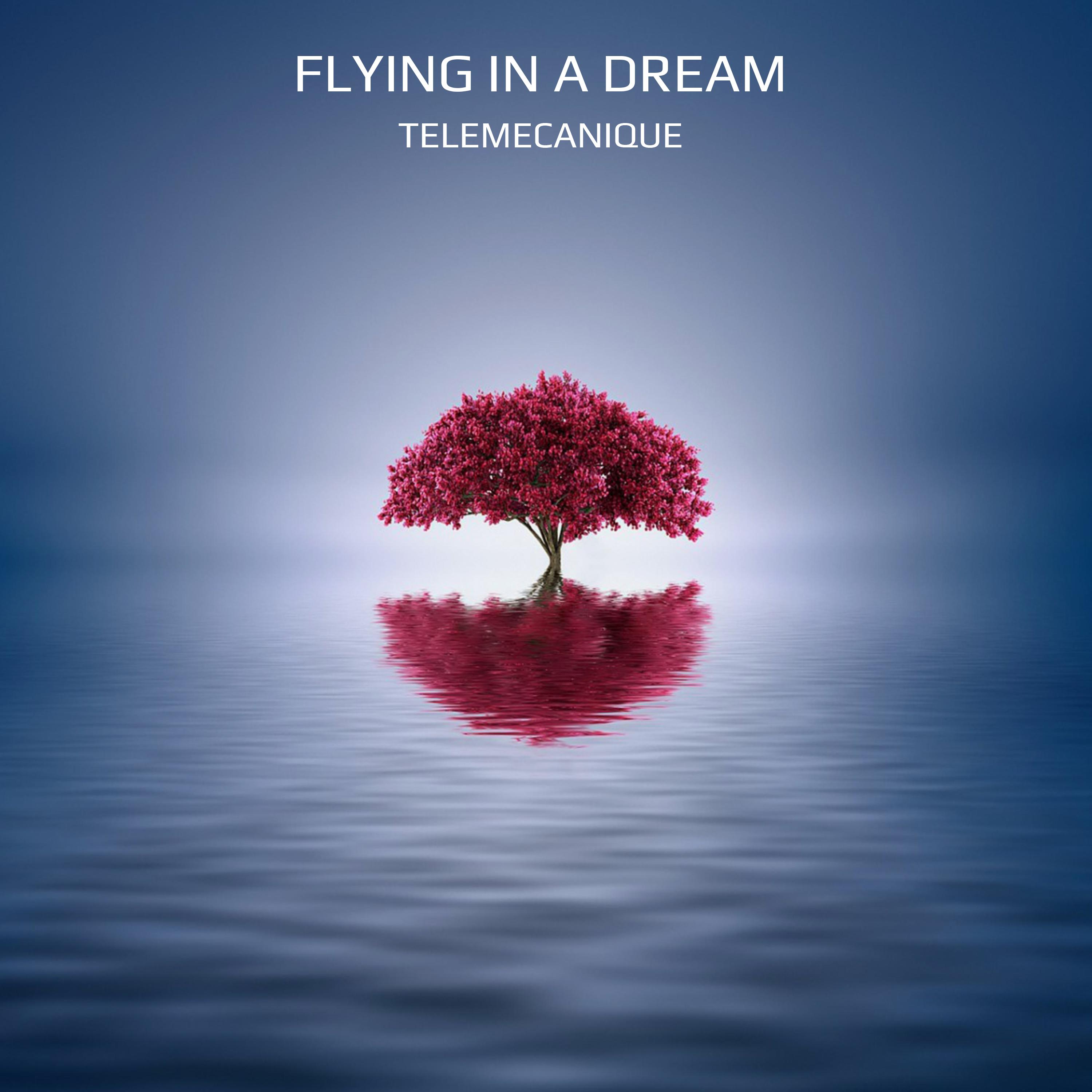 Постер альбома Flying in a Dream