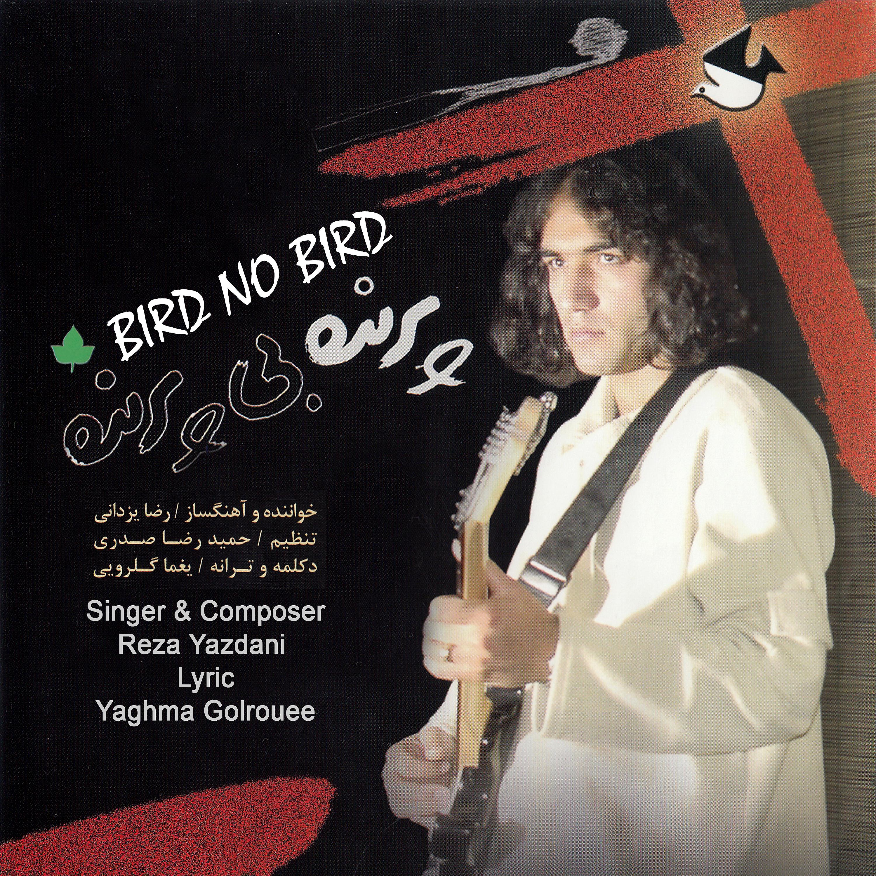 Постер альбома Bird No Bird