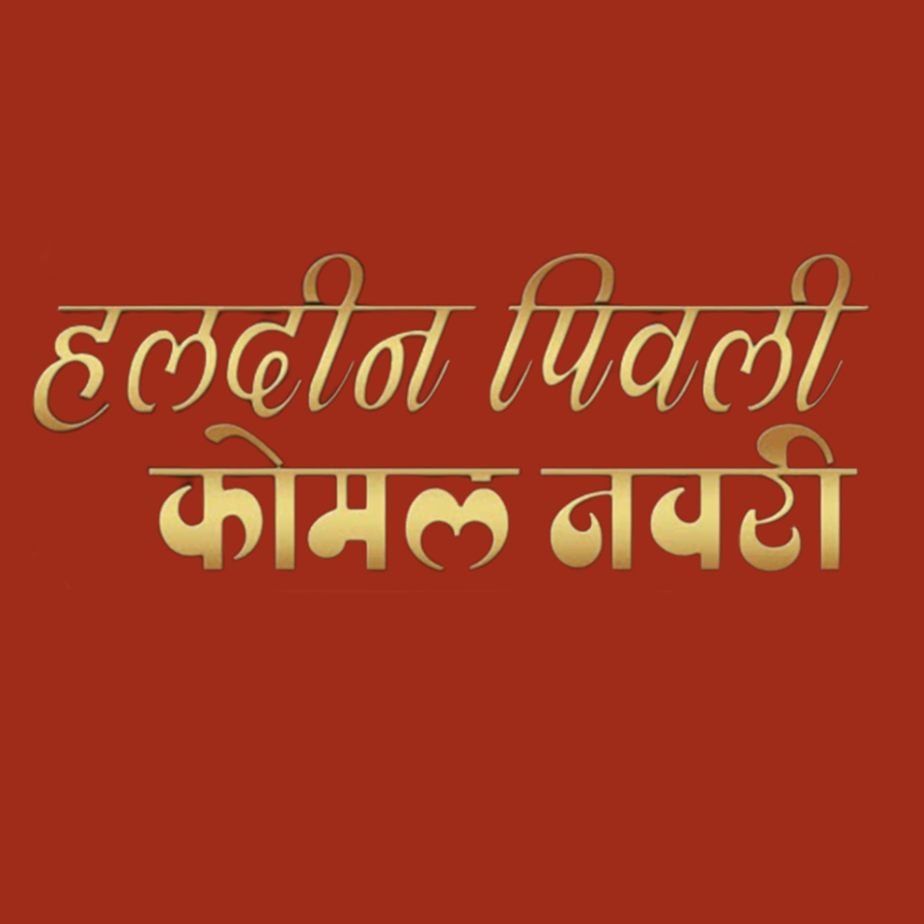 Постер альбома Haldin Pivali Komal Navari