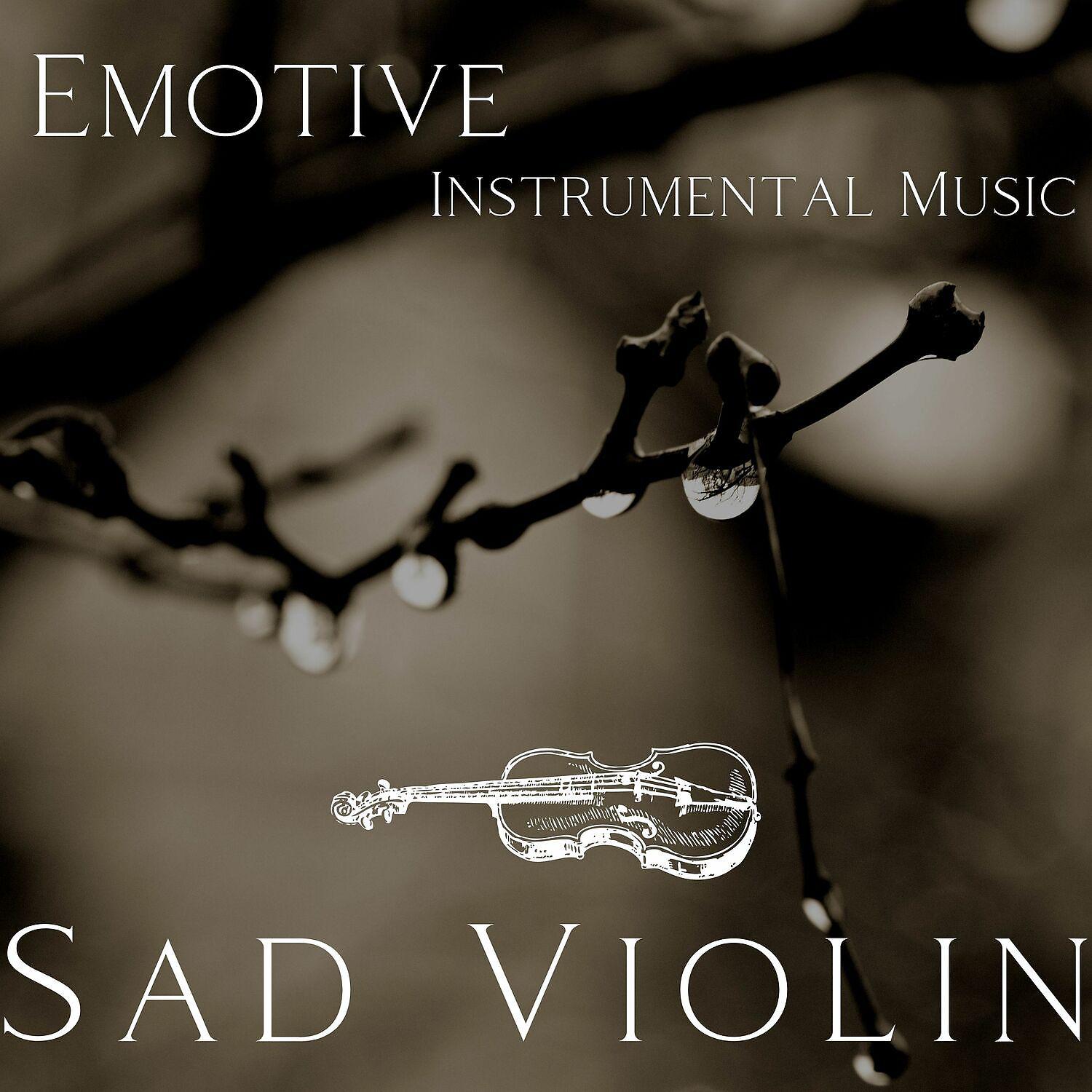 Постер альбома Emotive Instrumental Music