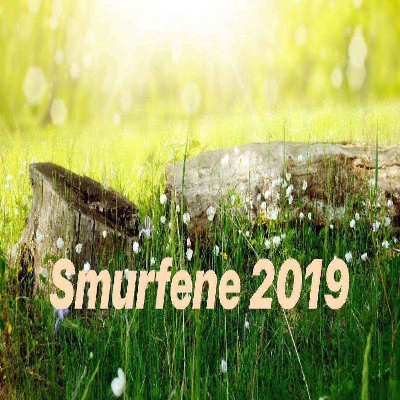 Постер альбома Smurfene 2019