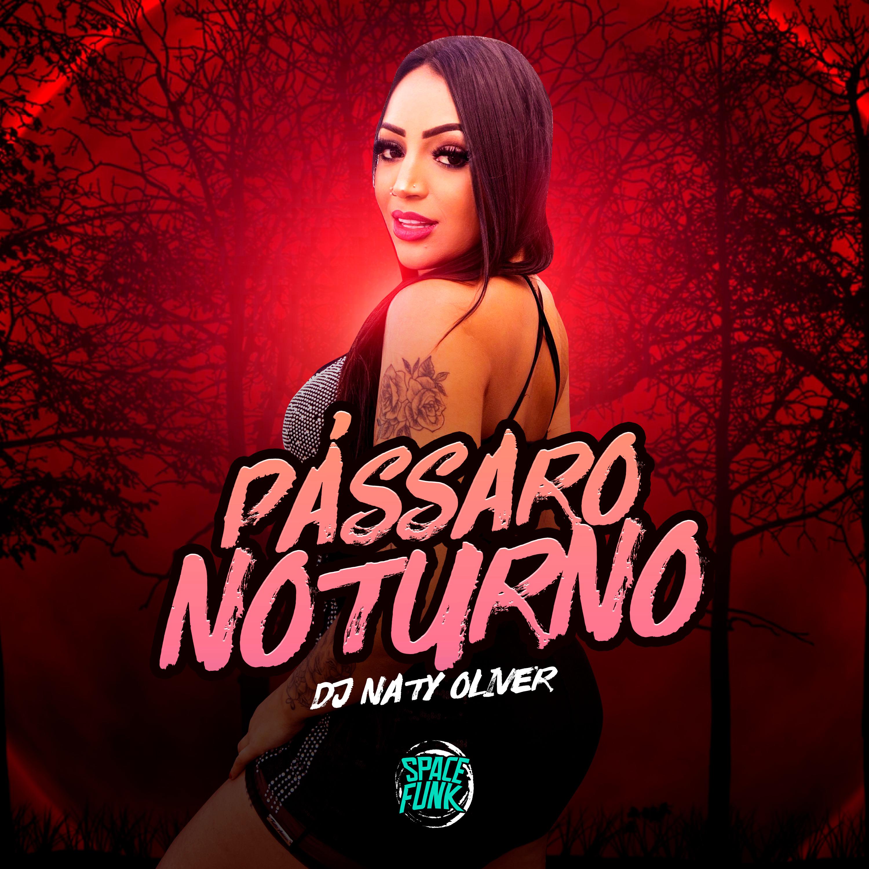Постер альбома Pássaro Noturno