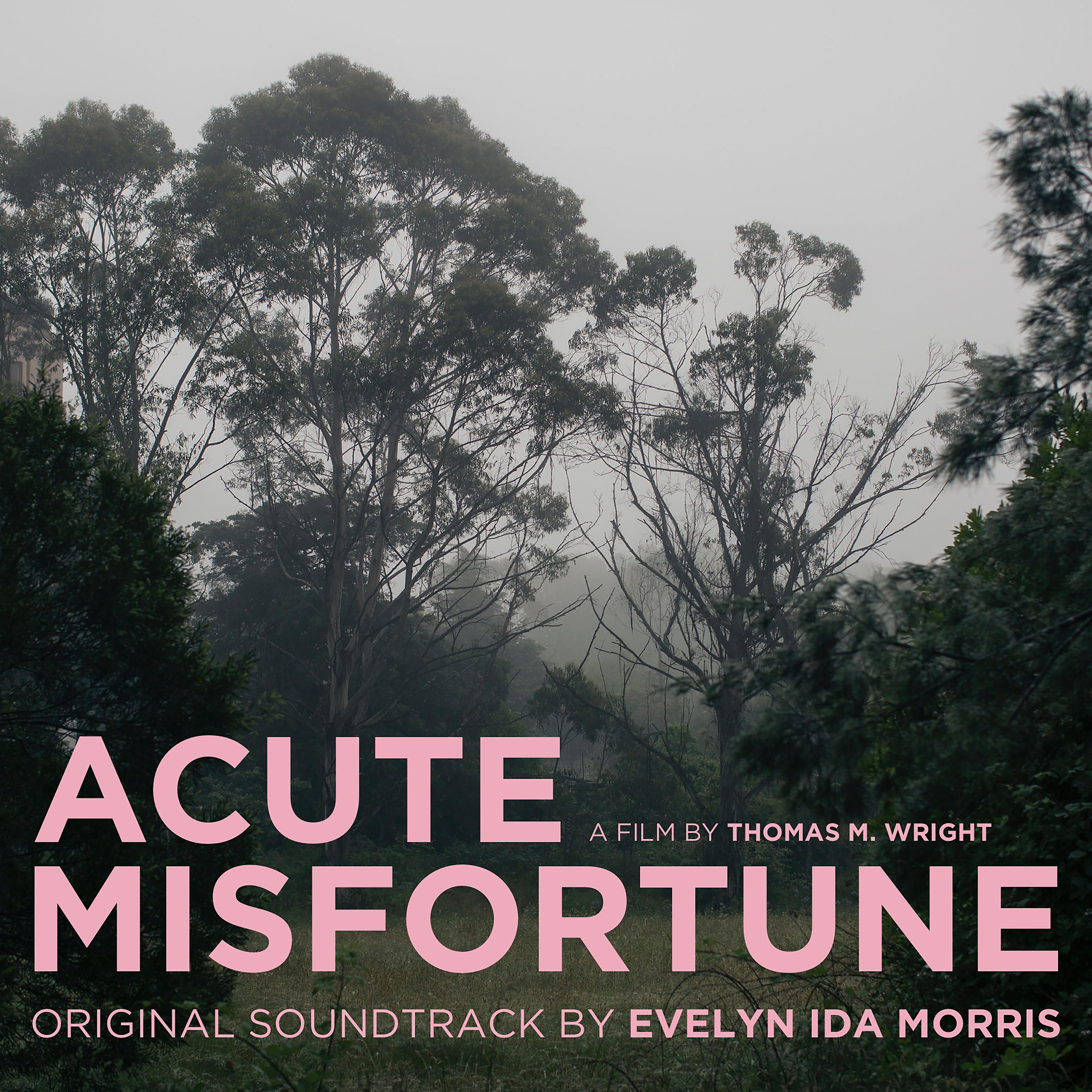 Постер альбома Acute Misfortune (Music from the Original Motion Picture)