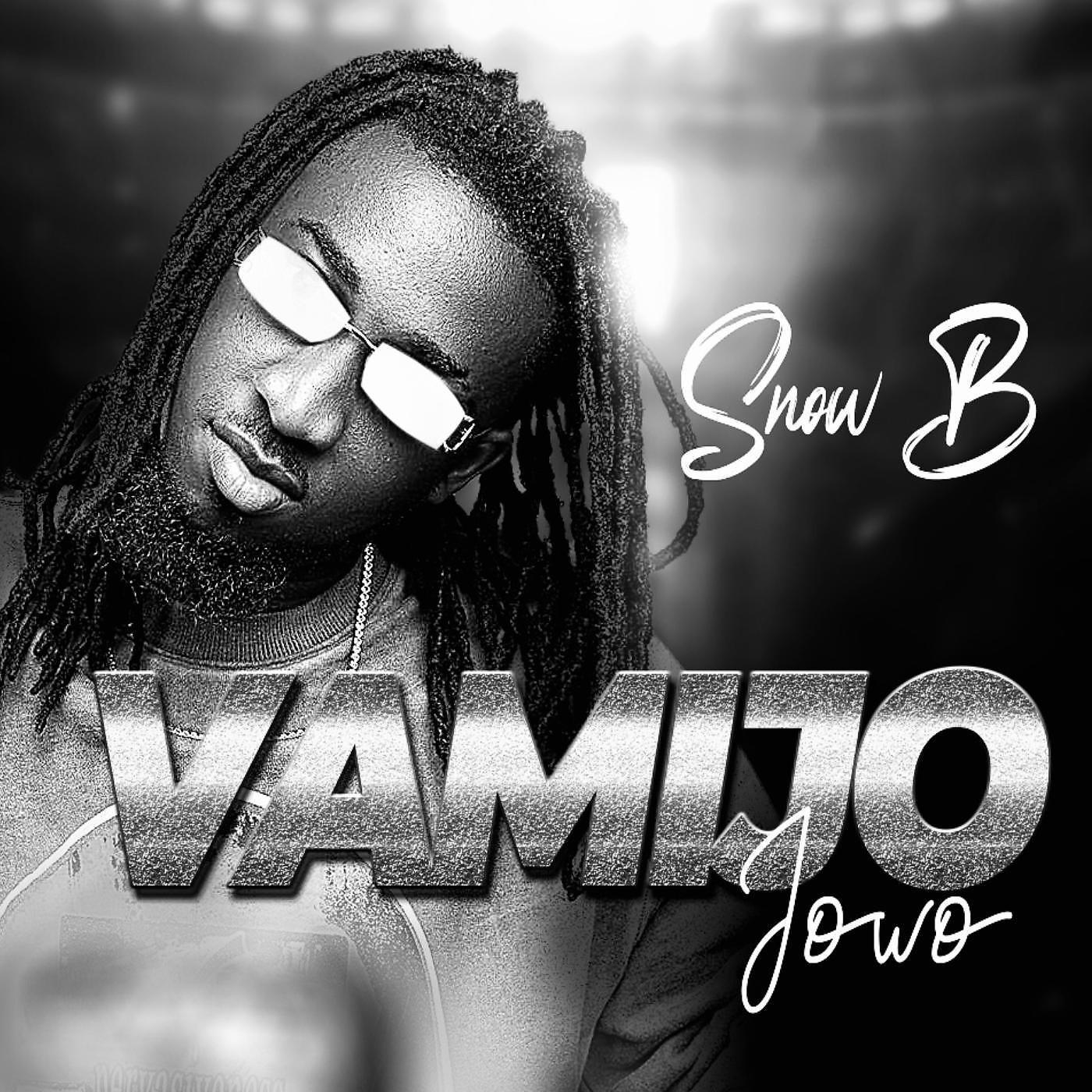 Постер альбома VAMIJO (Jowo)