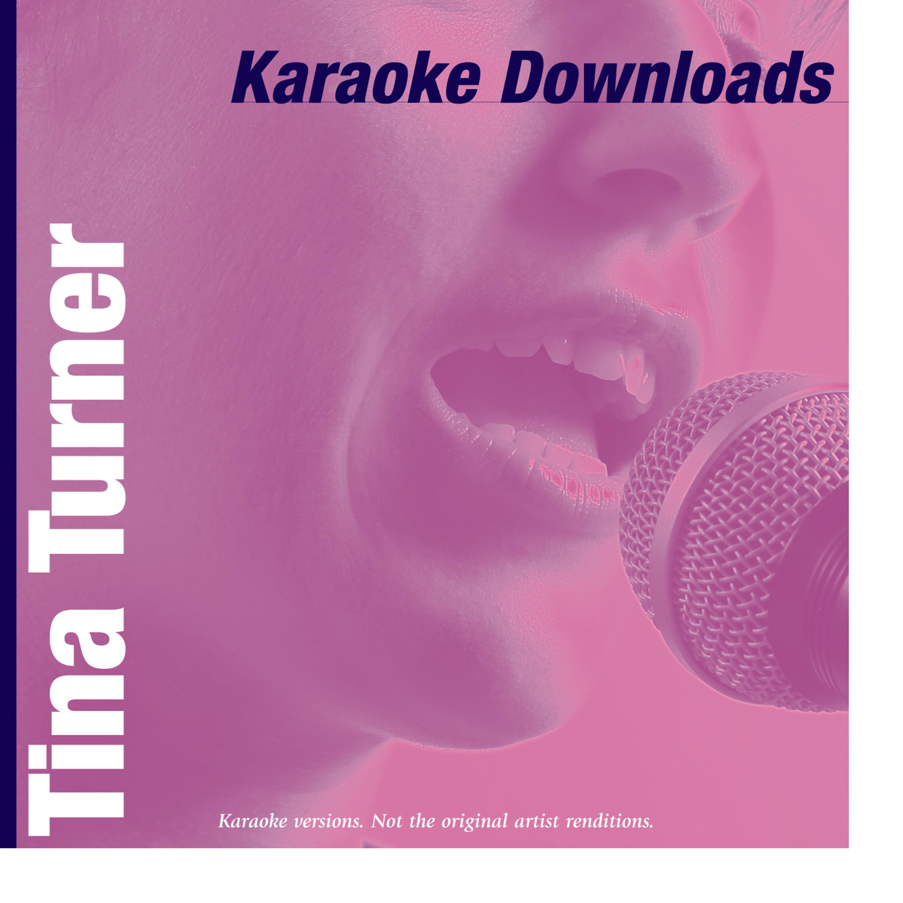 Постер альбома Karaoke Downloads - Tina Turner