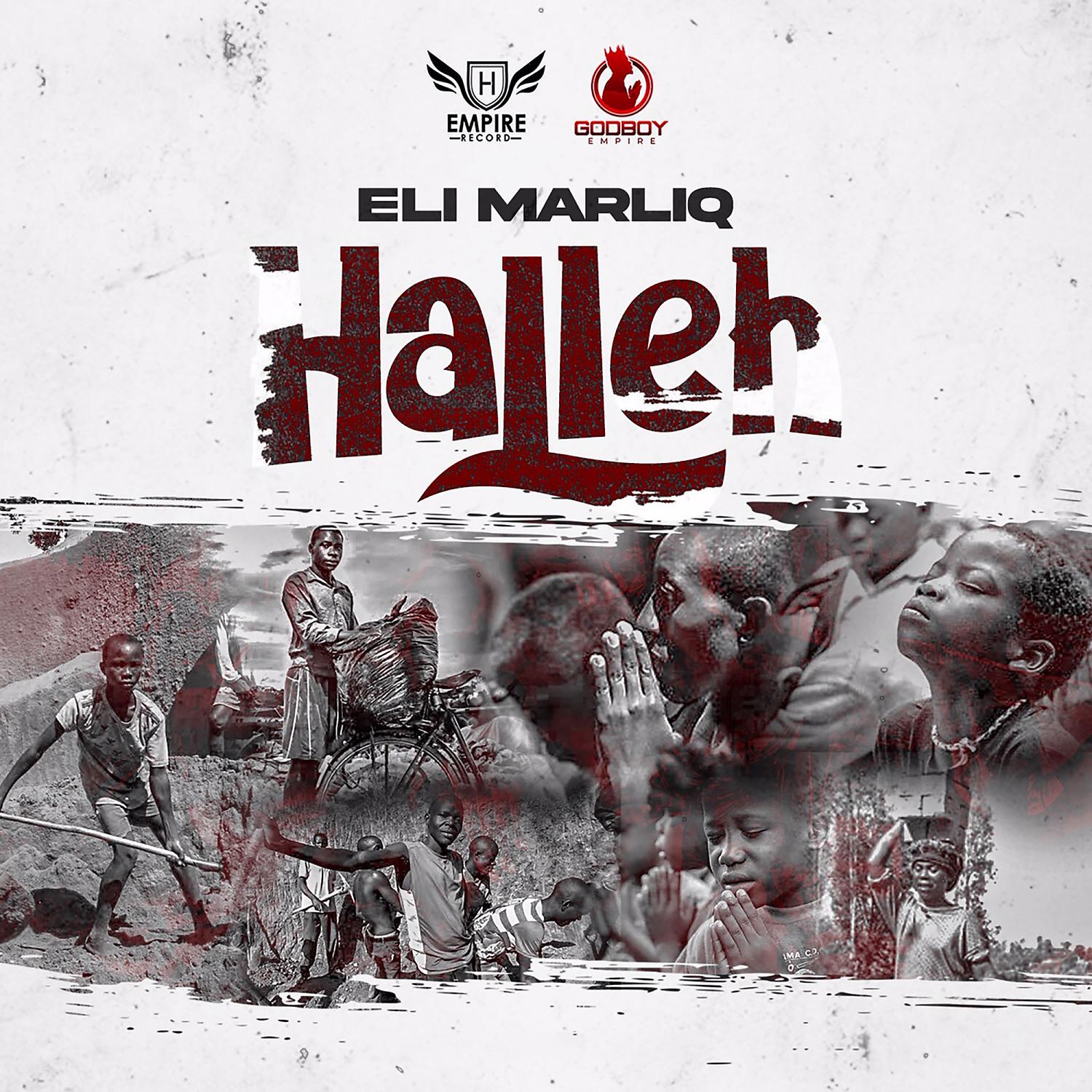 Постер альбома Halleh