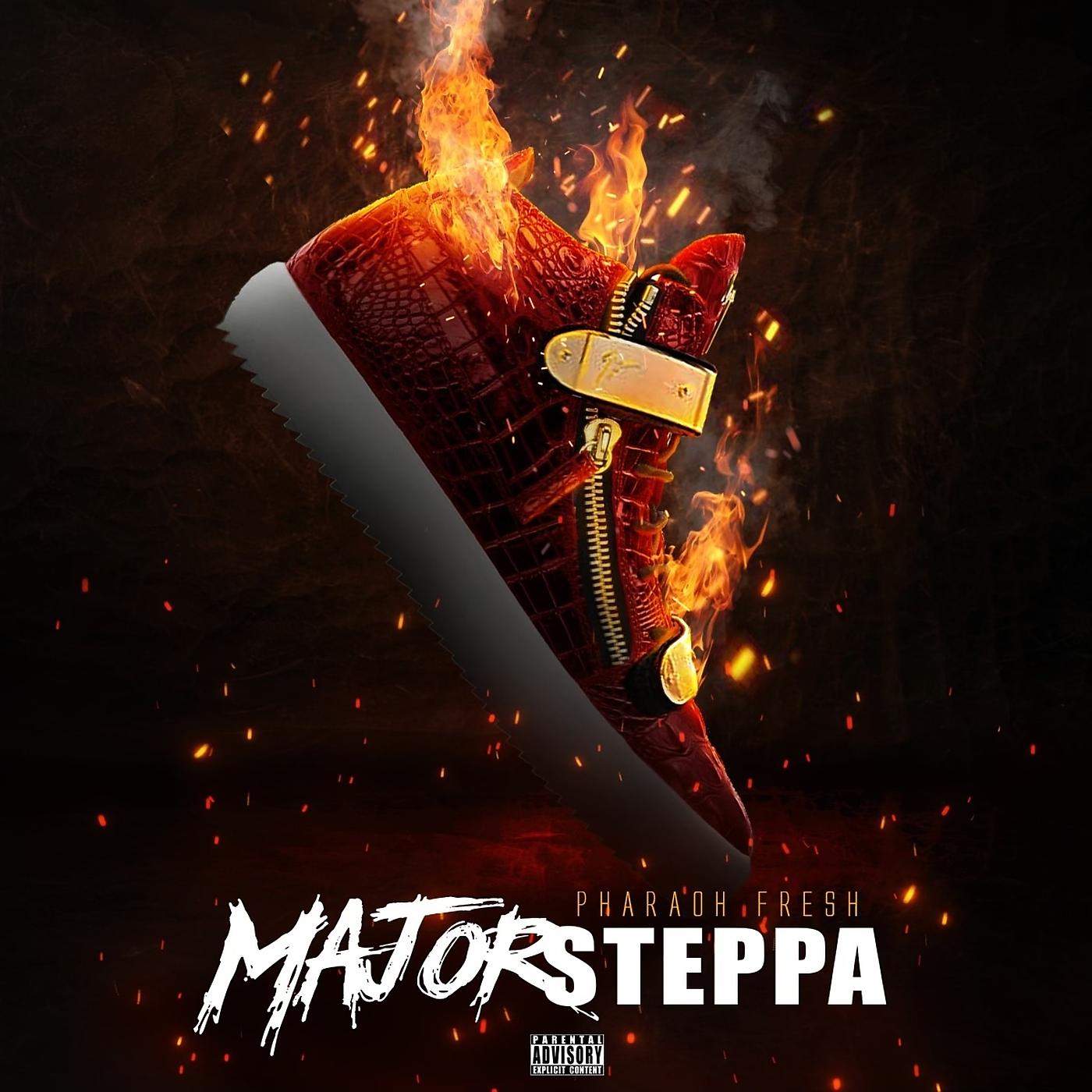 Постер альбома Major Steppa