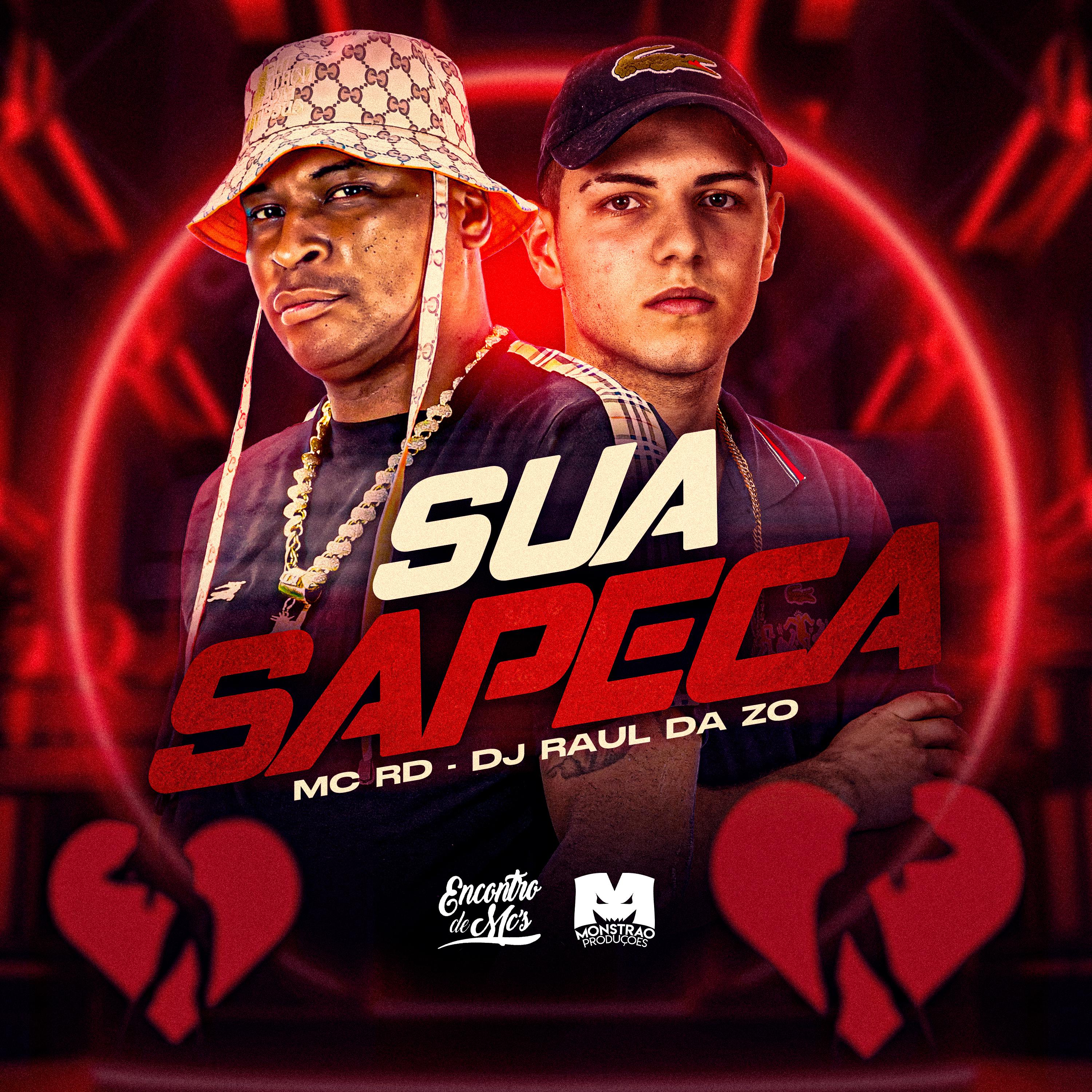 Постер альбома Sua Sapeca