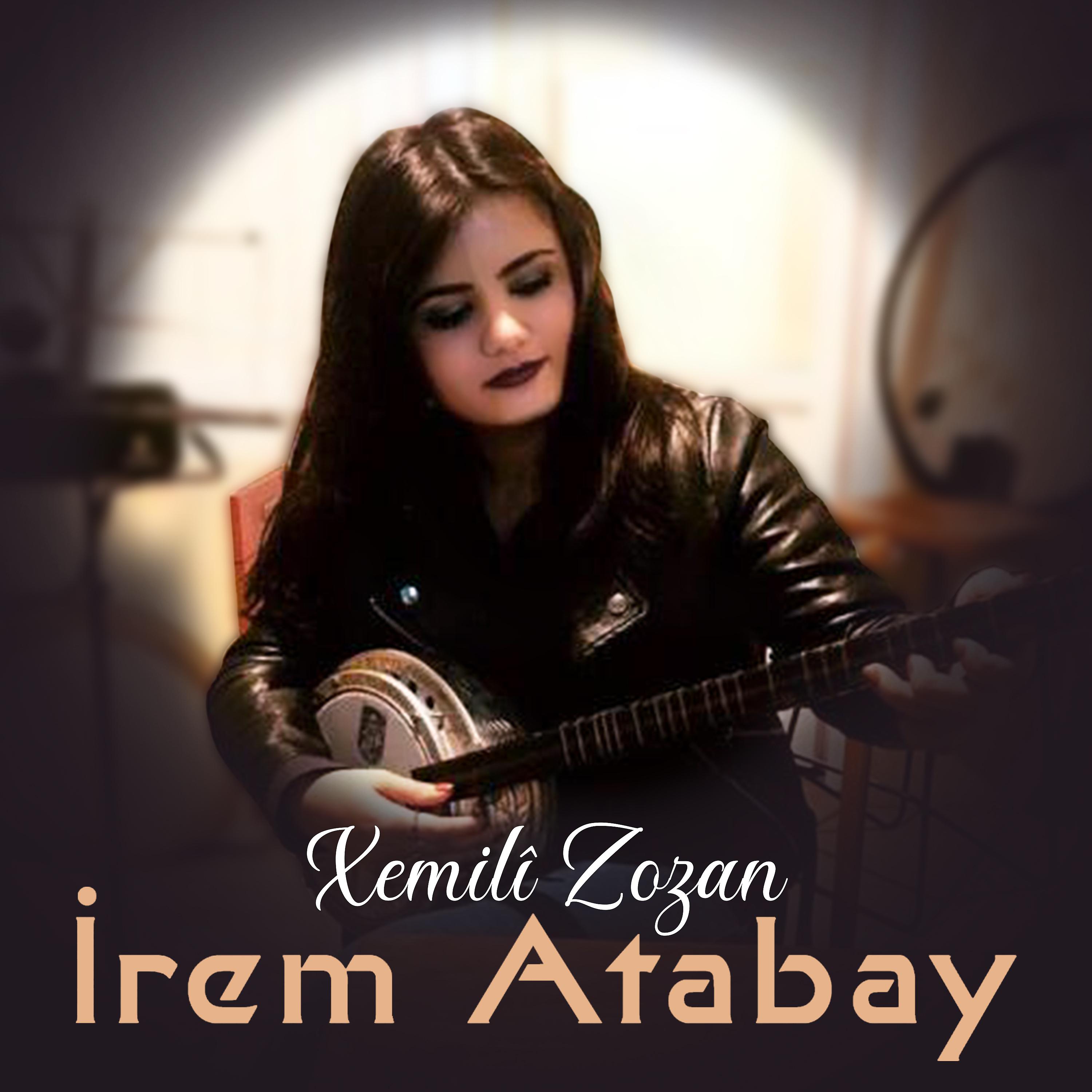 Постер альбома Xemilî Zozan