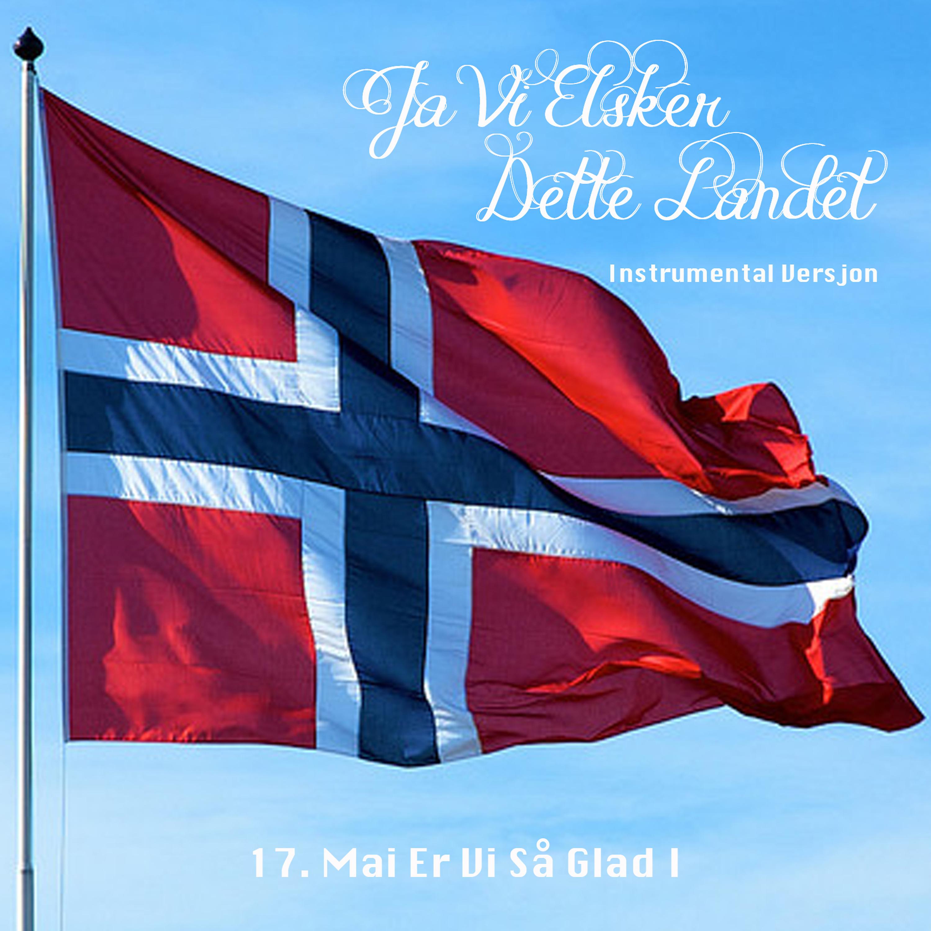 Постер альбома Ja, Vi Elsker Dette Landet